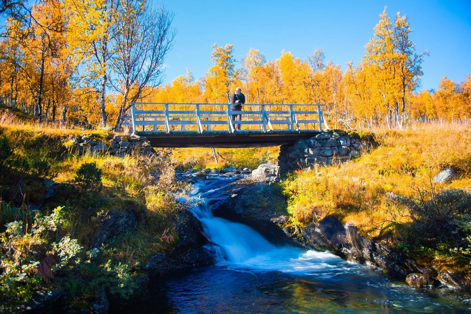 Kongevegen over Filefjell ved Sula
