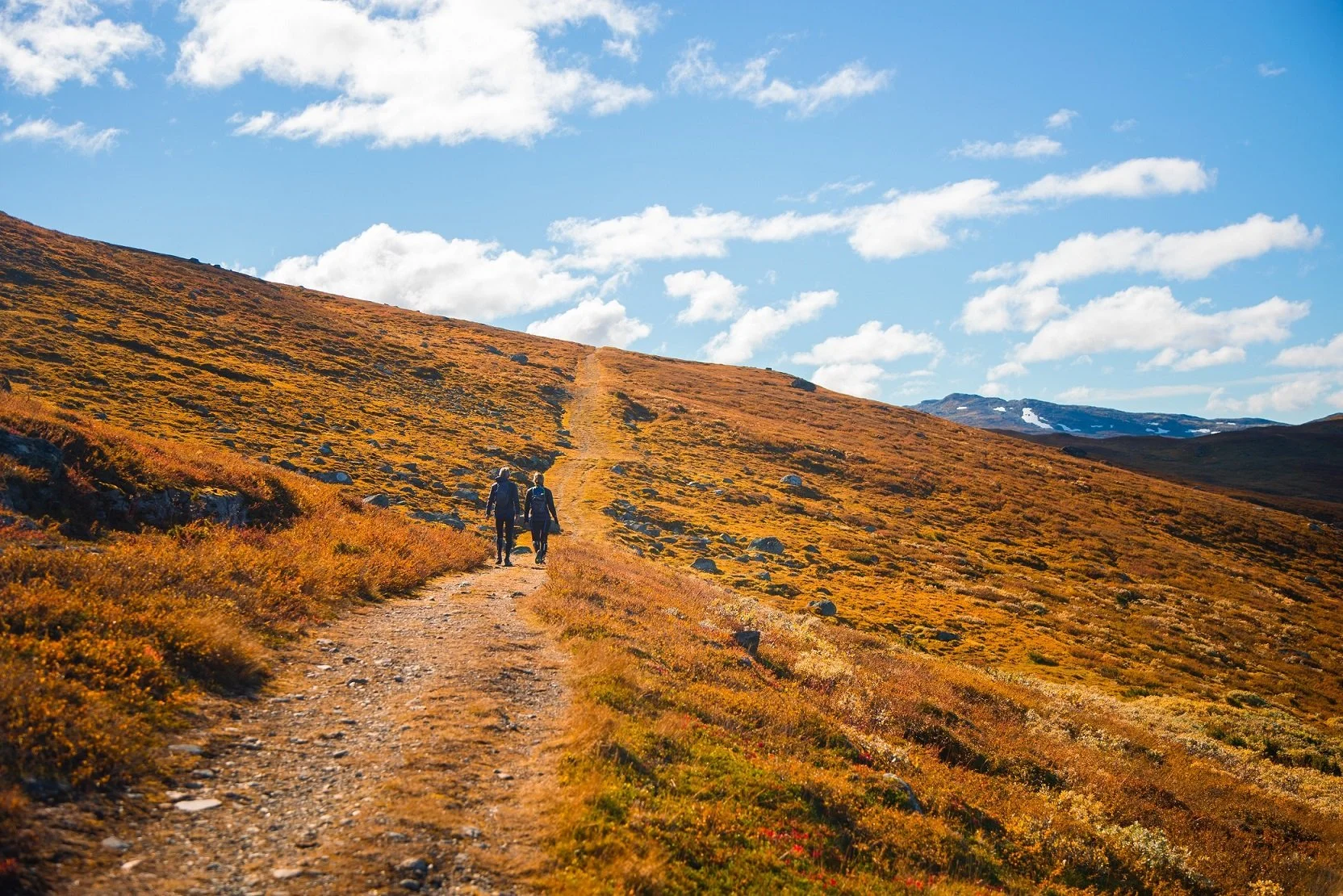 Kongevegen over Filefjell mellom Kyrkjestølen og Maristova