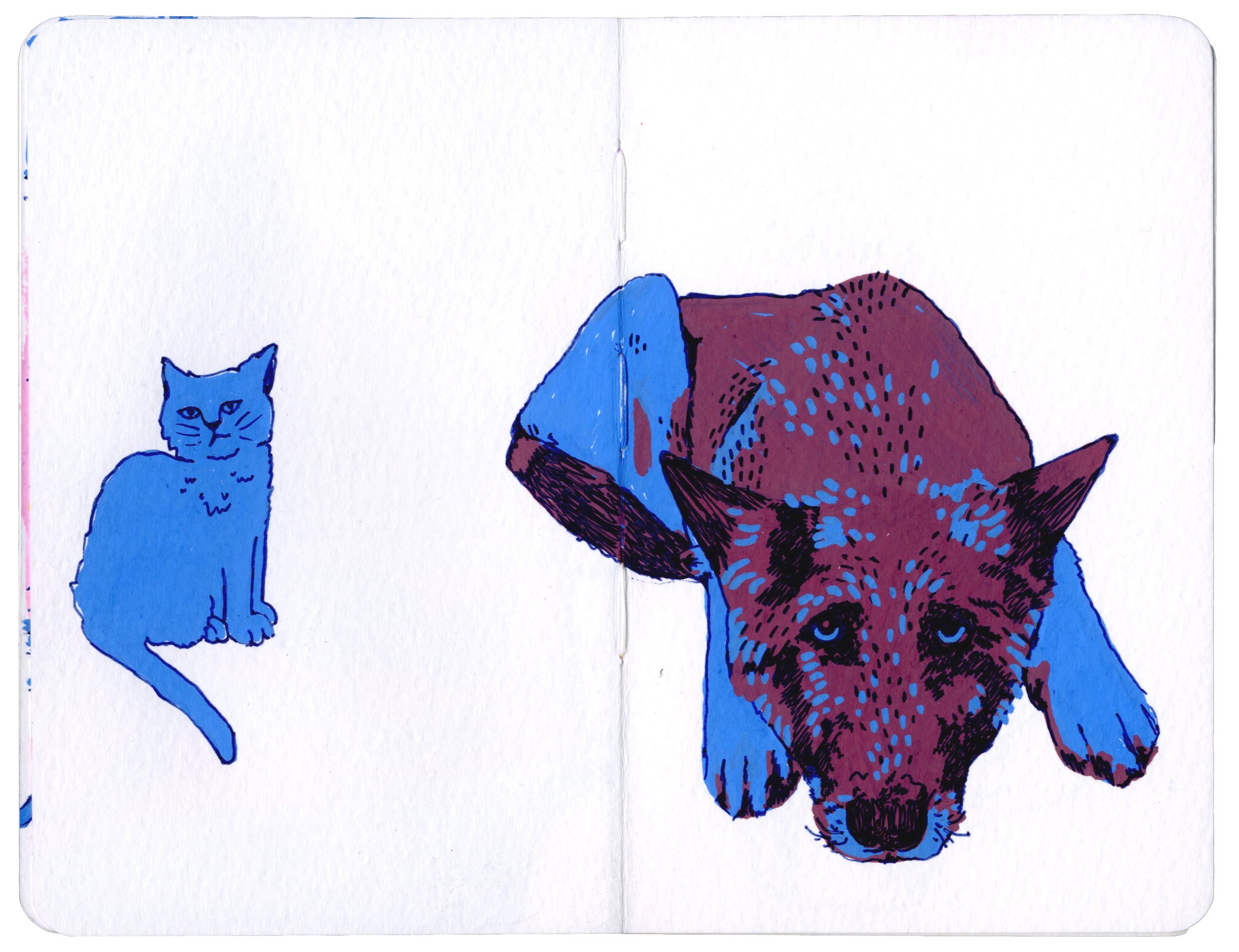 img20230315_13421664 copy 4.jpg