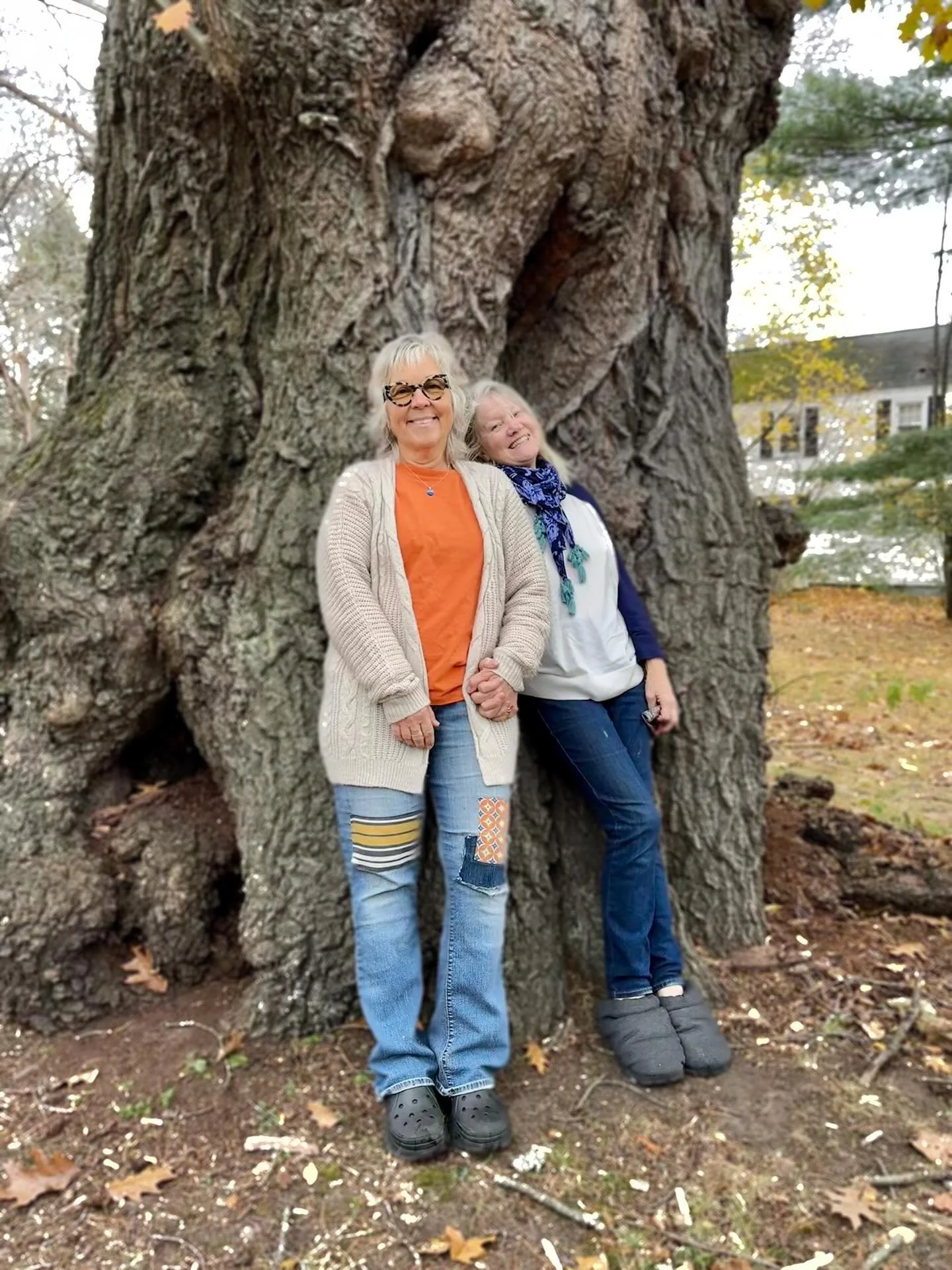 This tree stole my heart as soon as I met her!! Just think of what she has seen in 400 years !! Mind boggling 💚