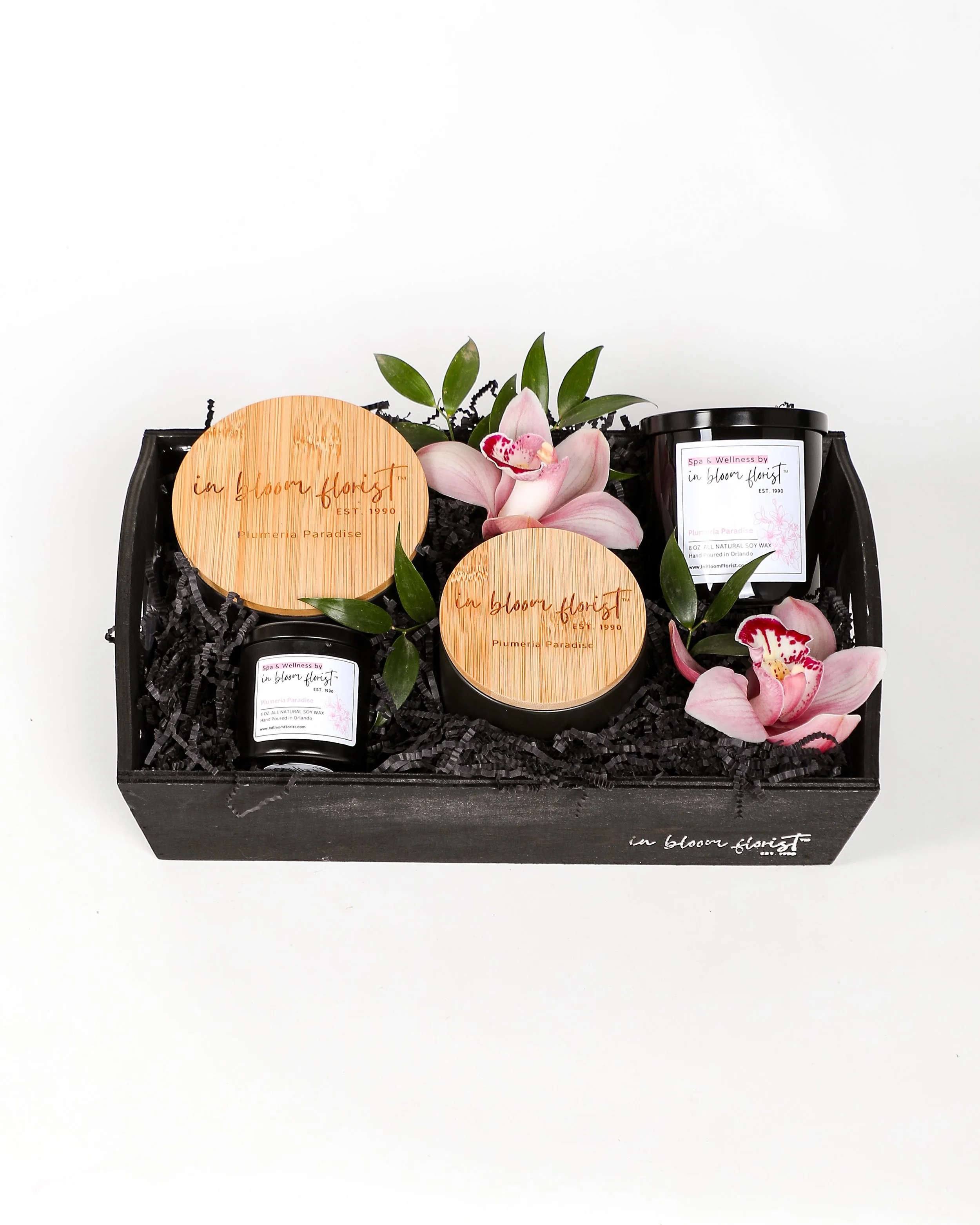 Plumeria Paradise Candle Set_PPCS_2024 (1 of 2).jpg