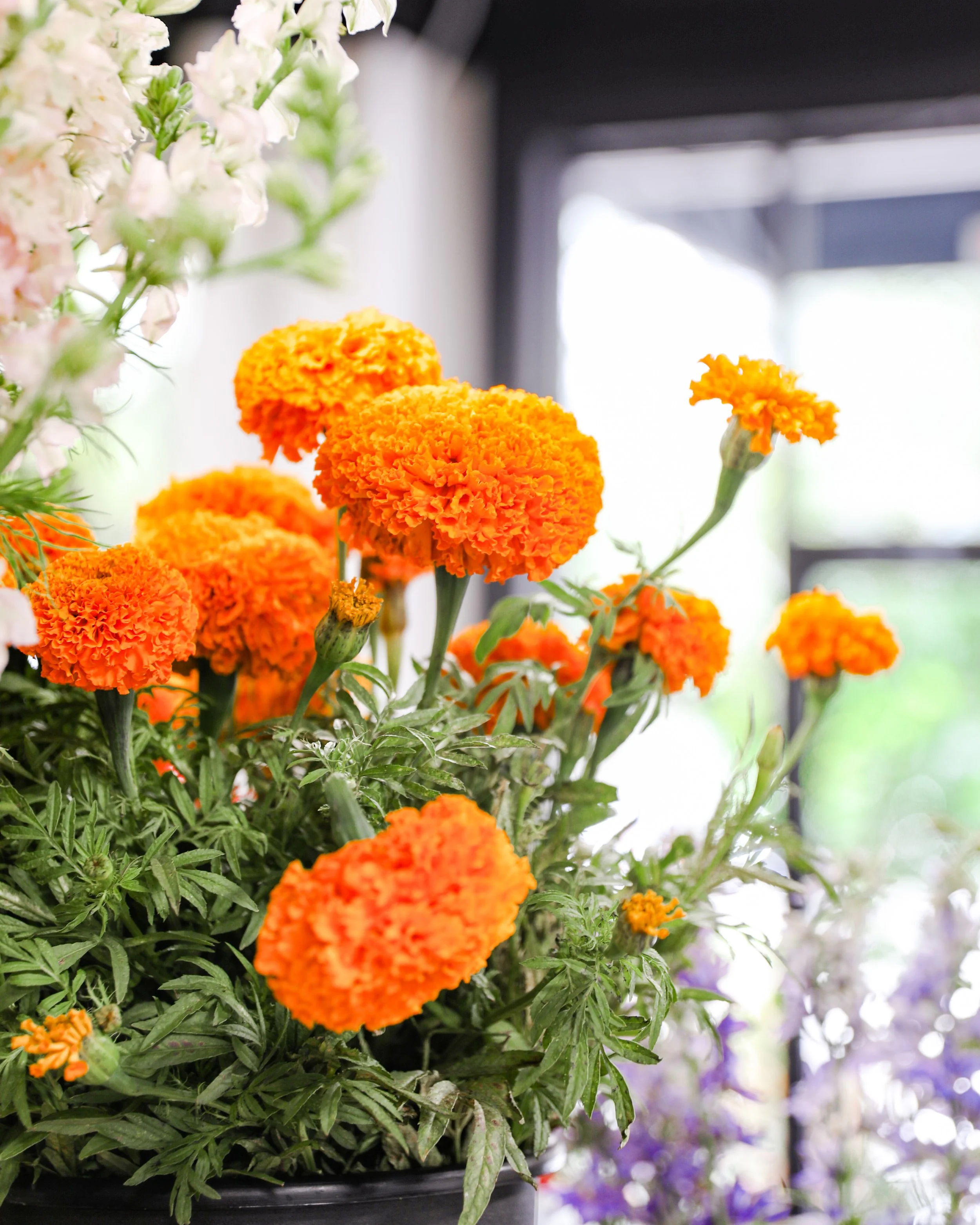 Flower Bar-corporate events.JPG