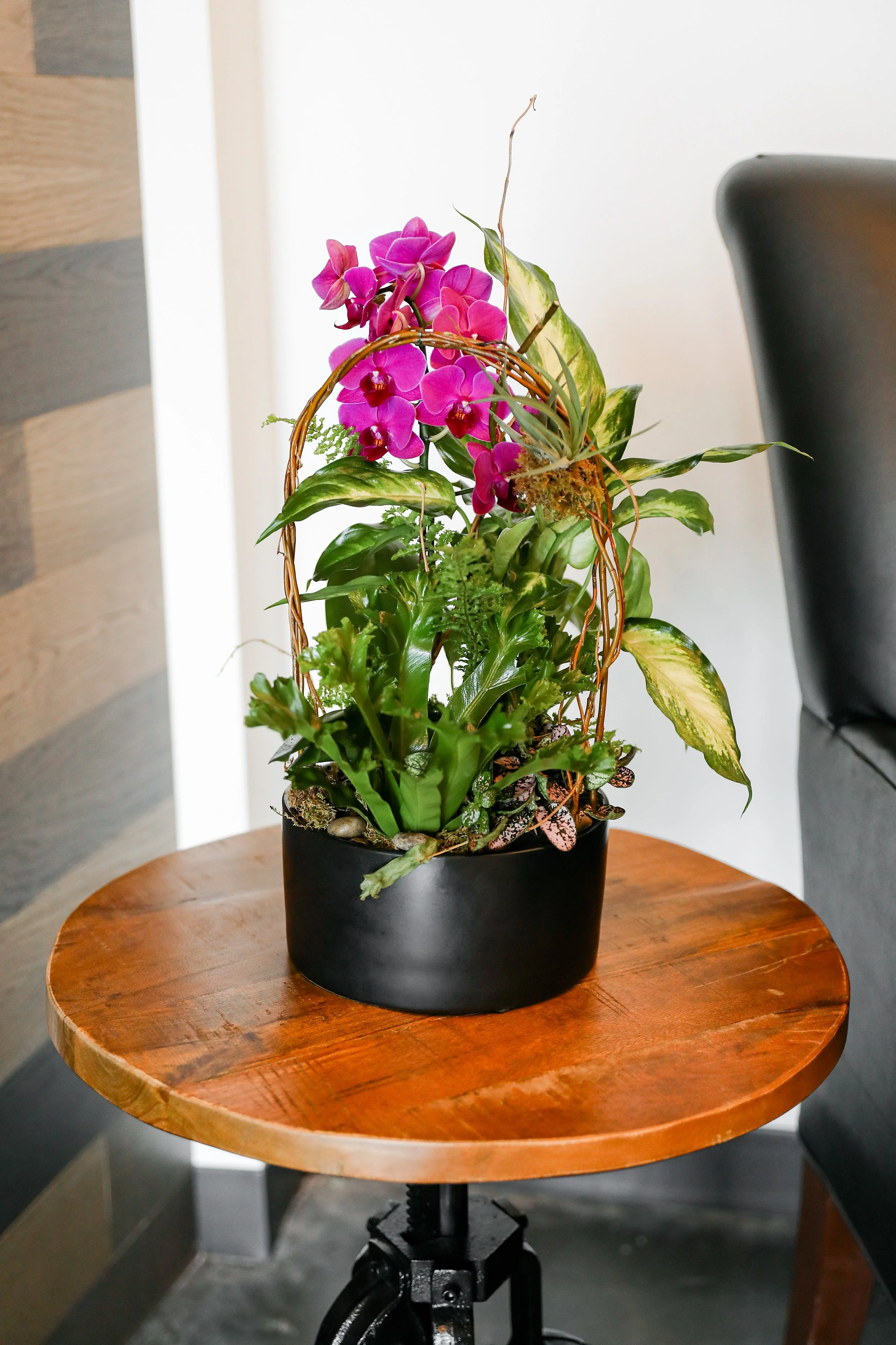 orchids-for-corporate-office-spaces-orlando-fl.jpg