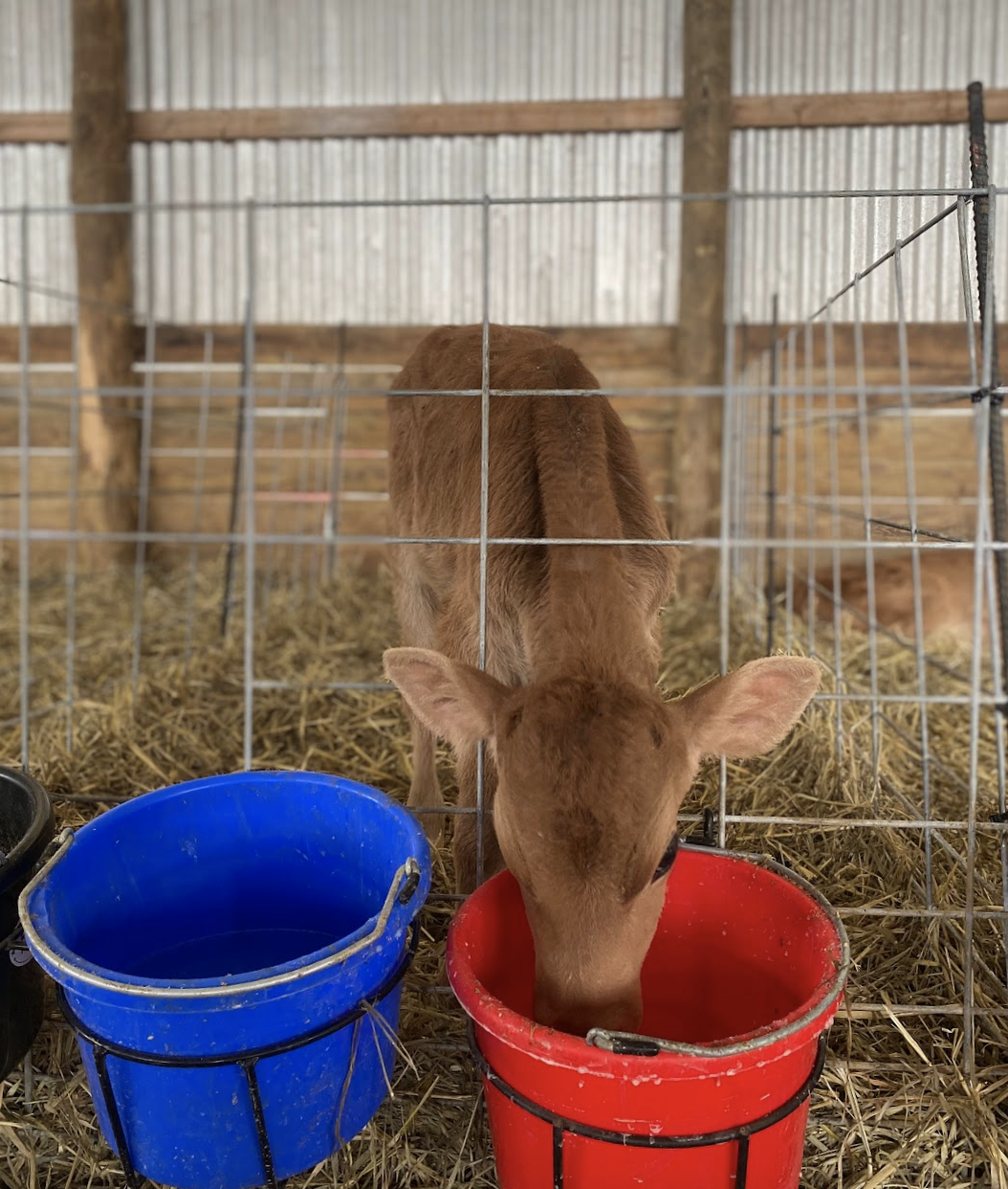 Screenshot 2025-12-08 at 12.58.36 PM.png