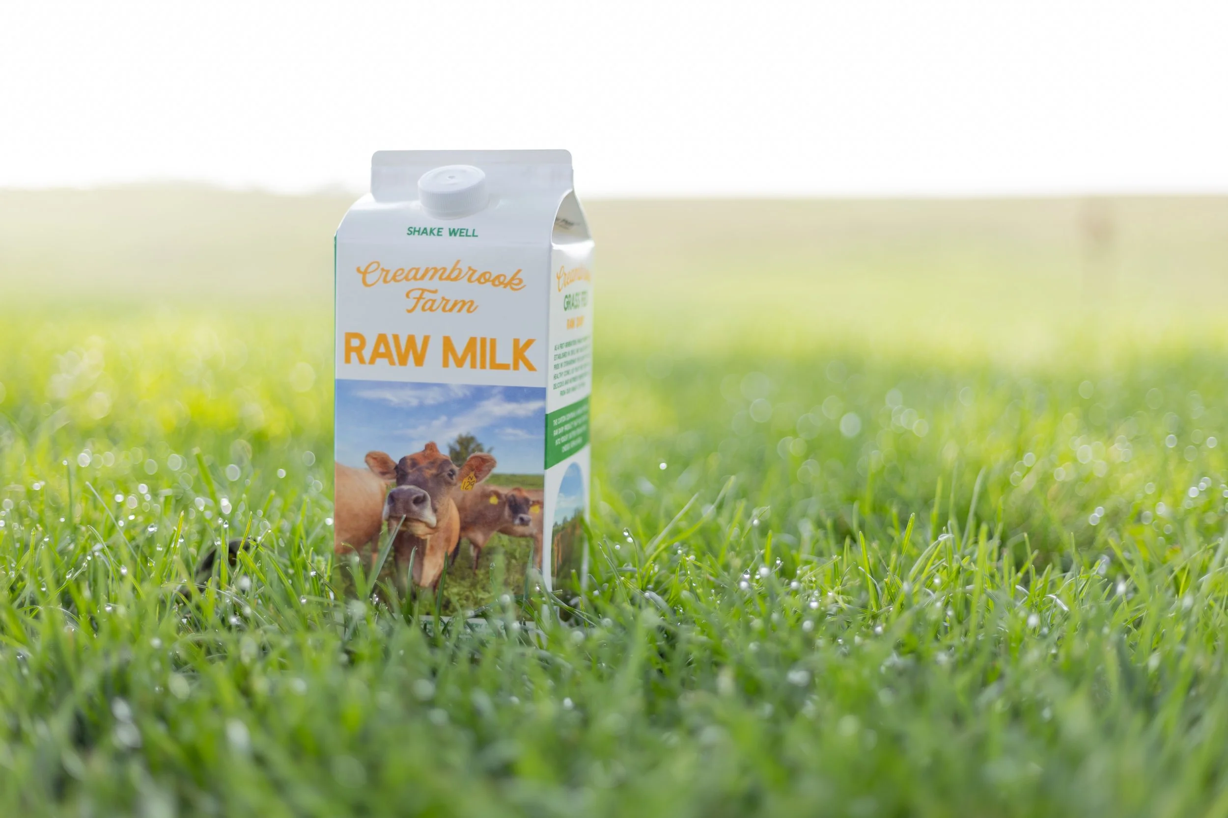What Makes Creambrook Raw Milk Stand Out