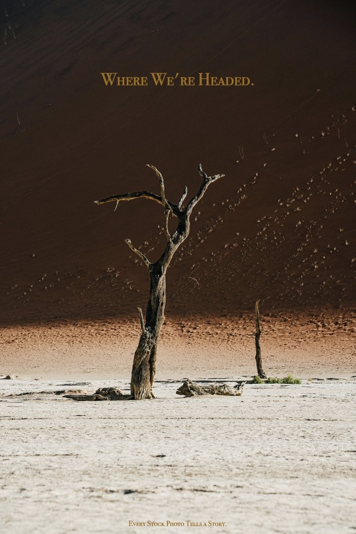 deadtree.001.jpeg