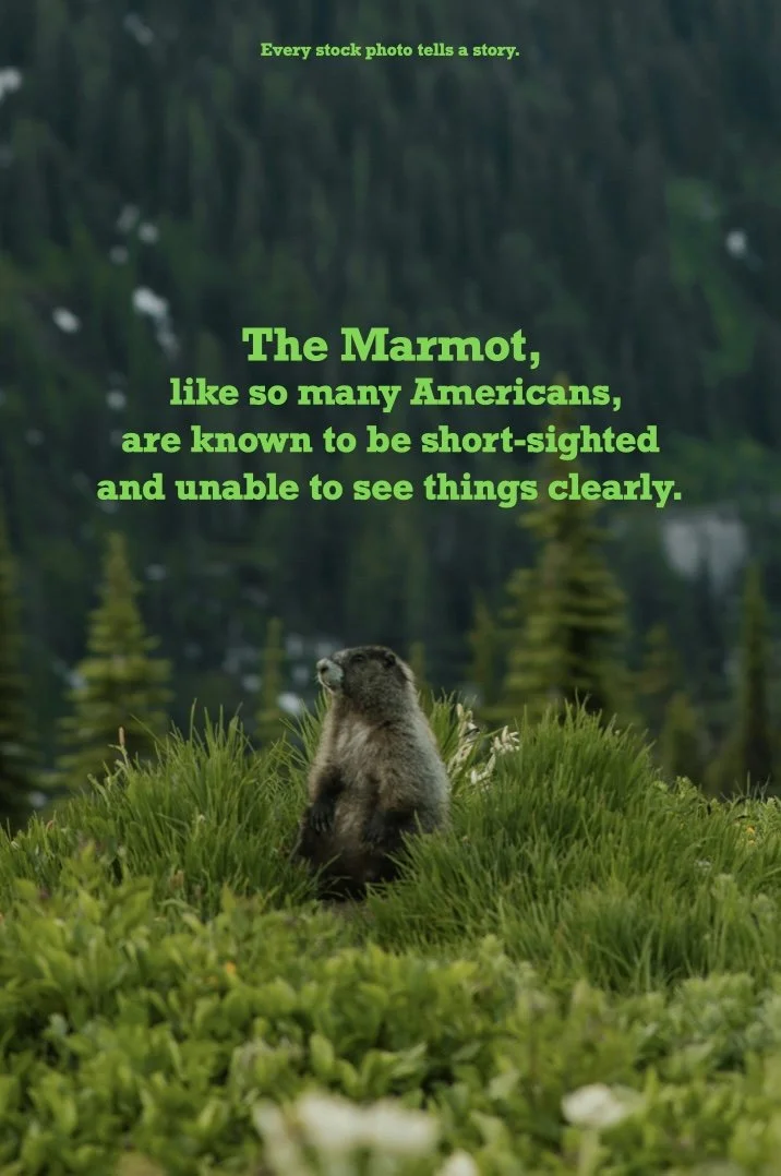 marmot.001.jpeg
