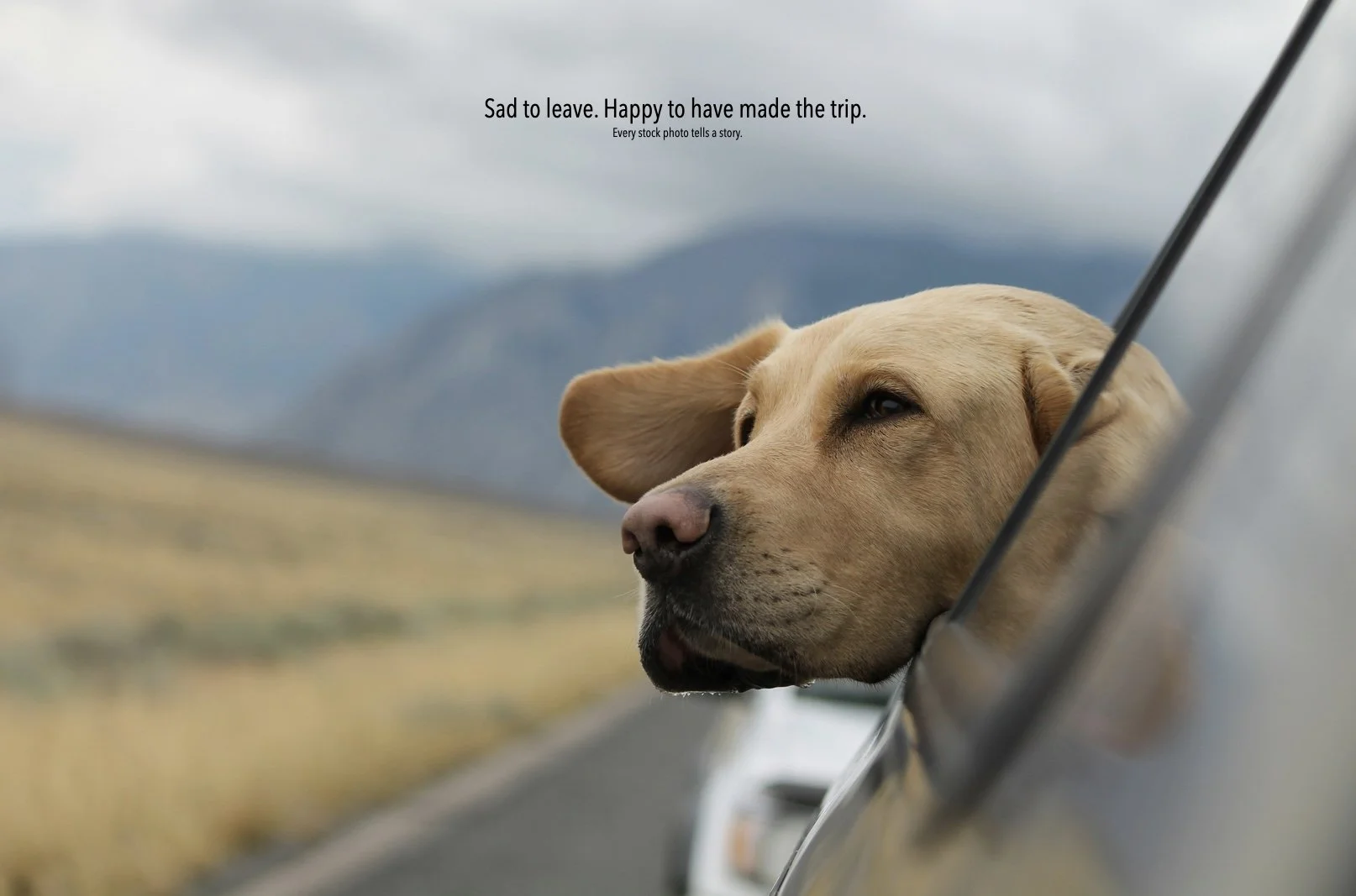 road dog.001.jpeg