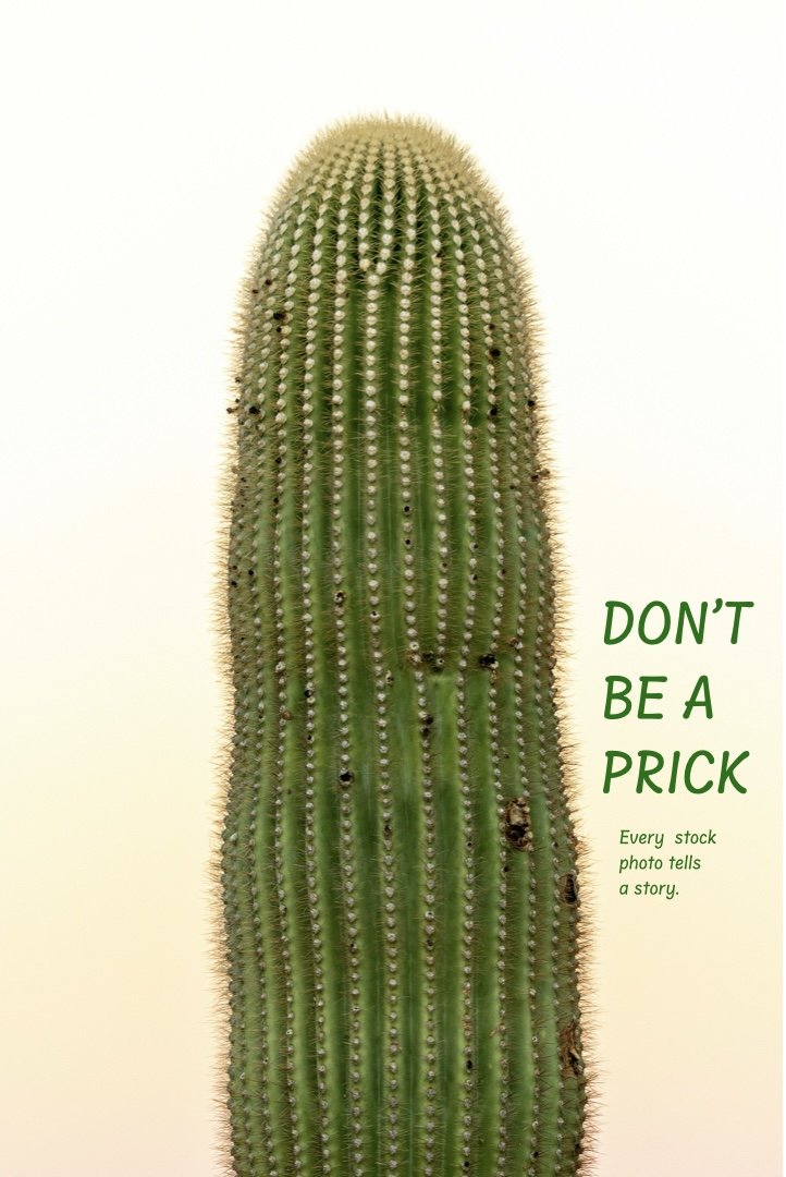 prickly.001.jpeg