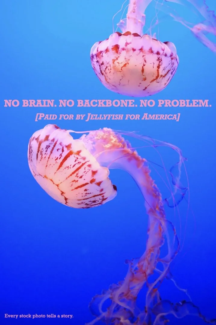 j-fish campaign.001.jpeg