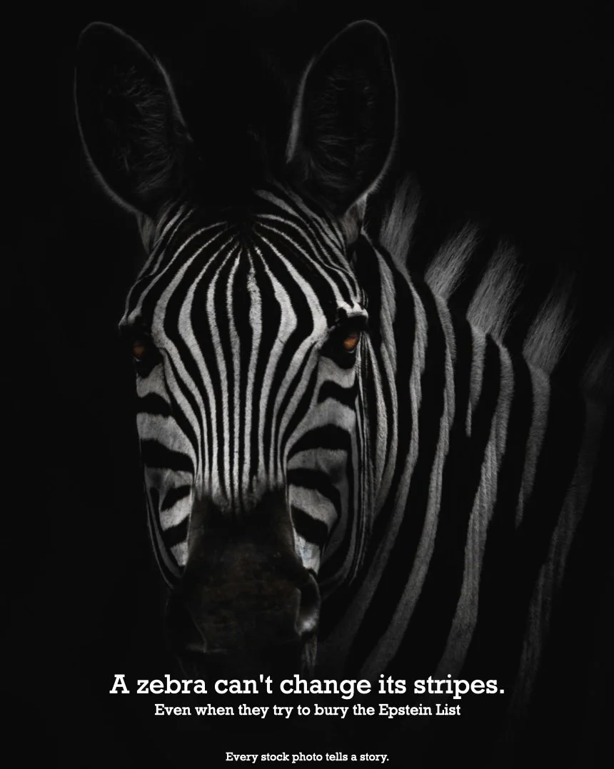 Zebra.001.jpeg