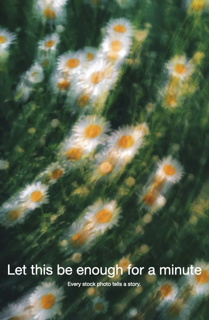 daisy.001.jpeg