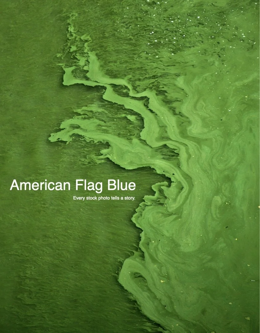 AmericanFlagBlue.001.jpeg
