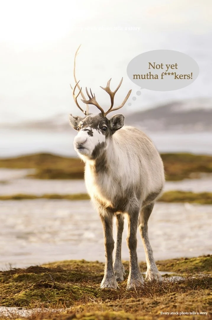 reindeer games.001.jpeg