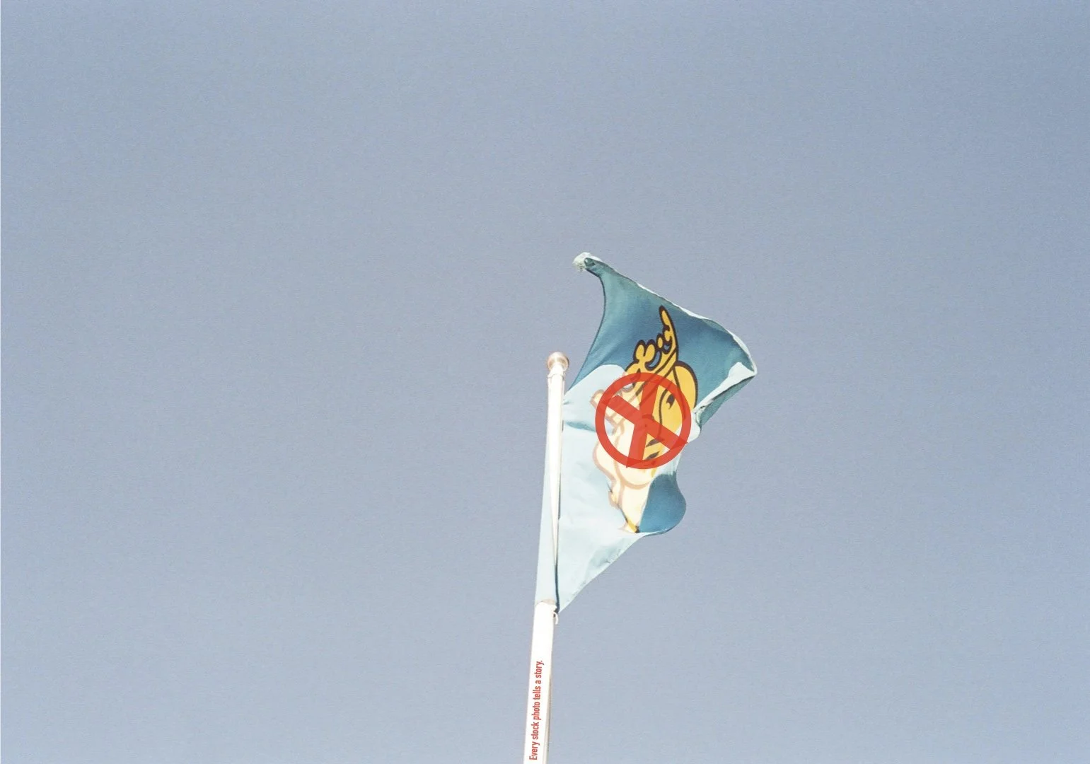 flag day.001.jpeg