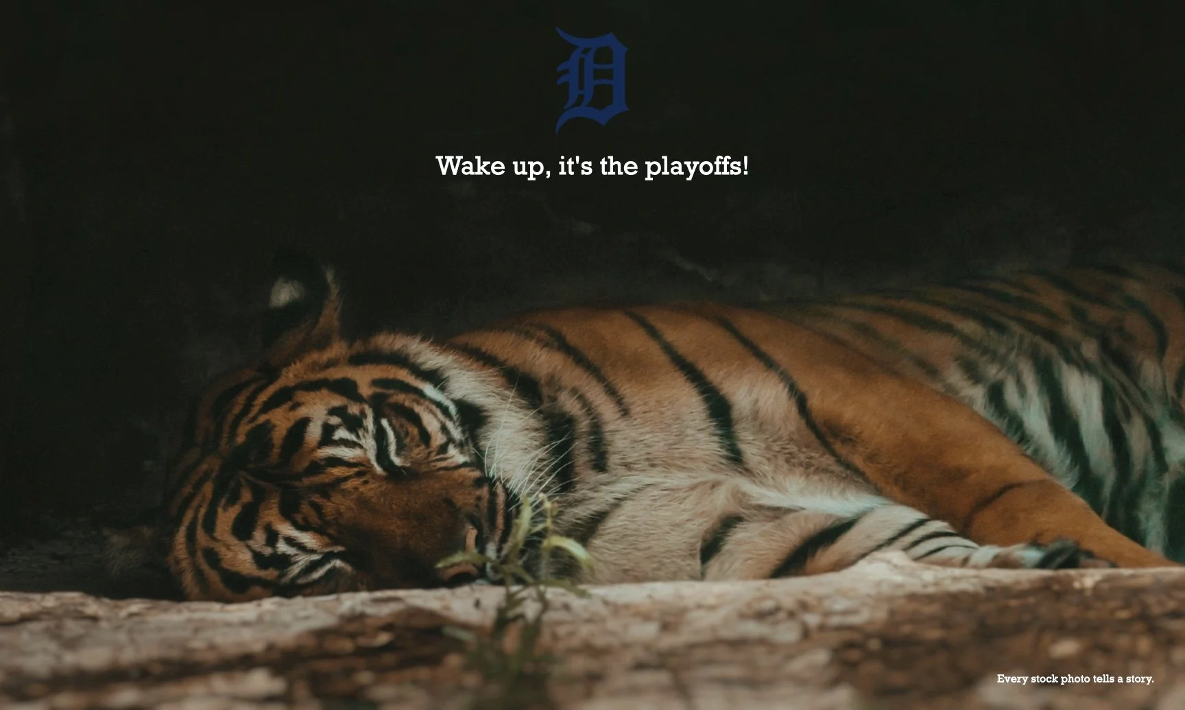 tigersbaseball.001.jpeg
