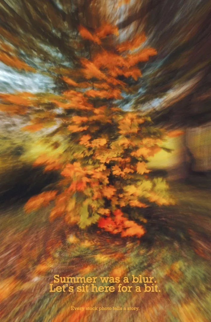 fall in.001.jpeg