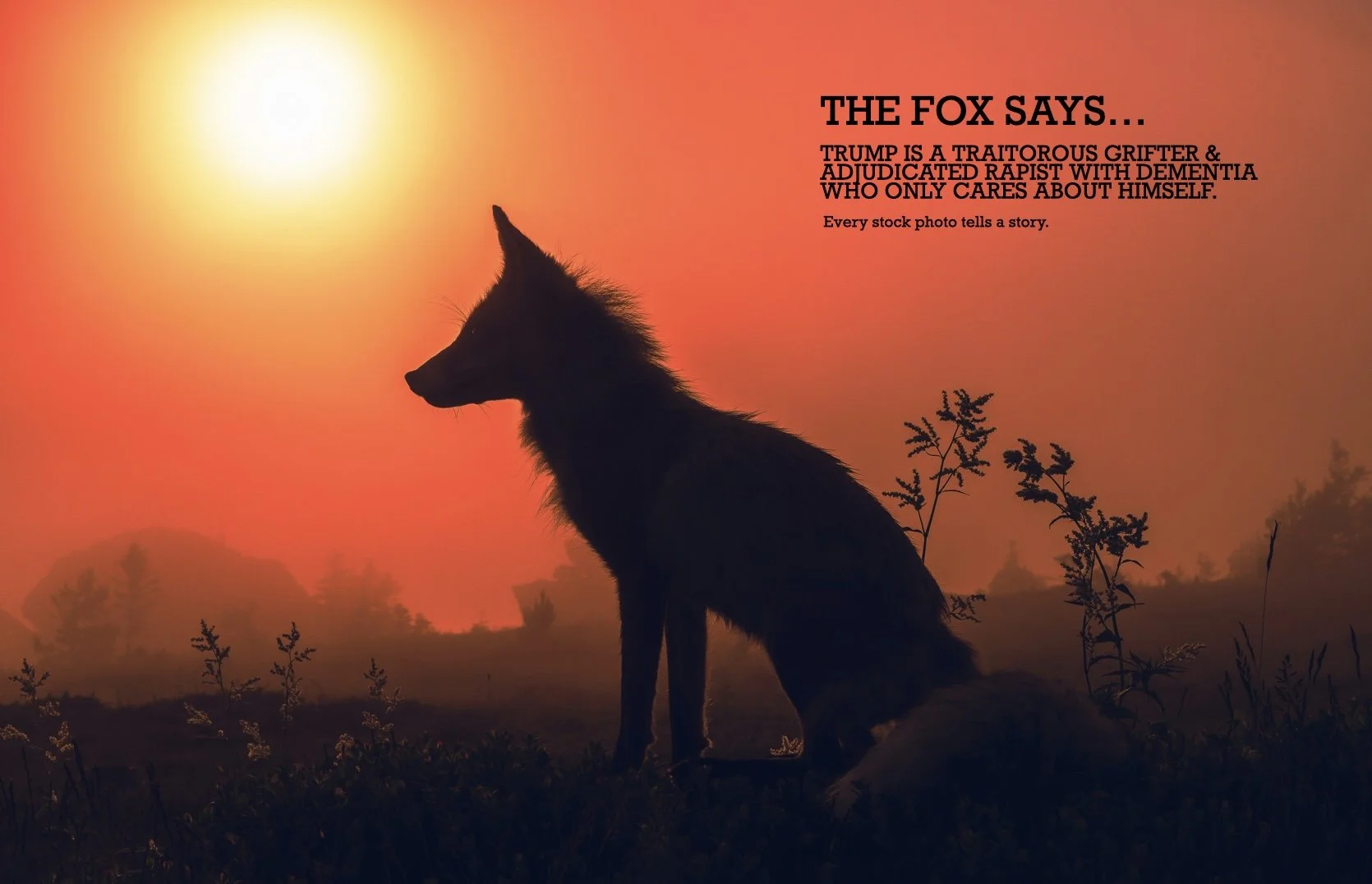 What does the fox say.001.jpeg