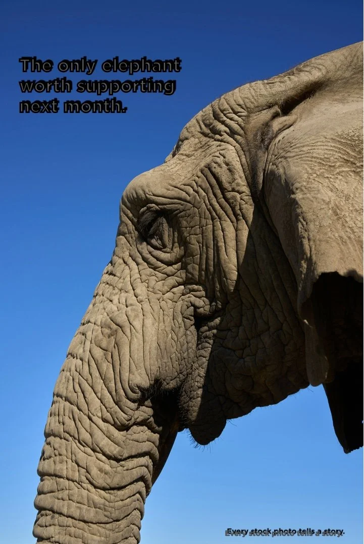 elephantic.001.jpeg