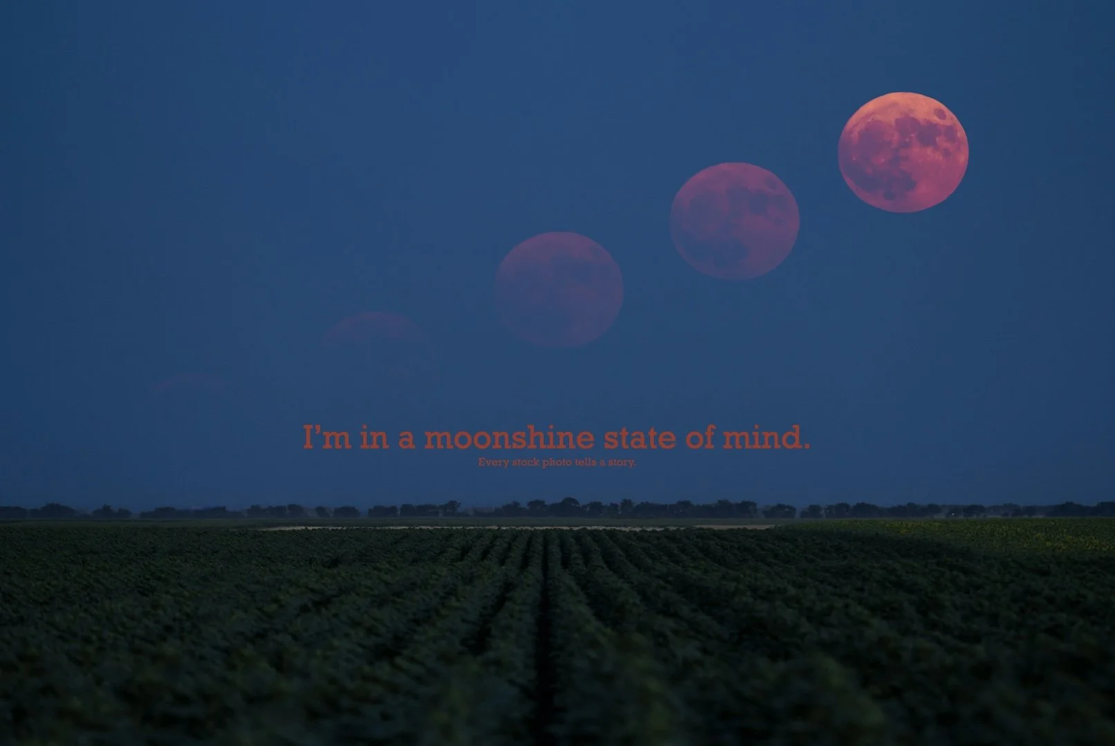 moonshine.001.jpeg
