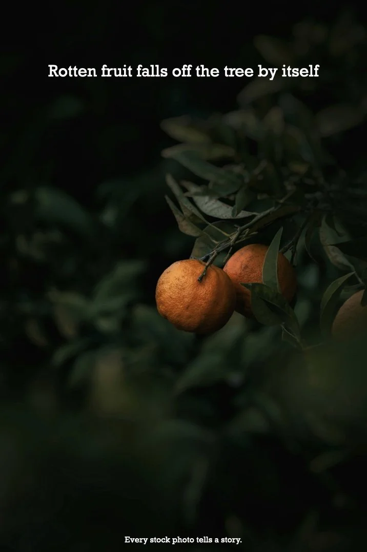 orange king.001.jpeg