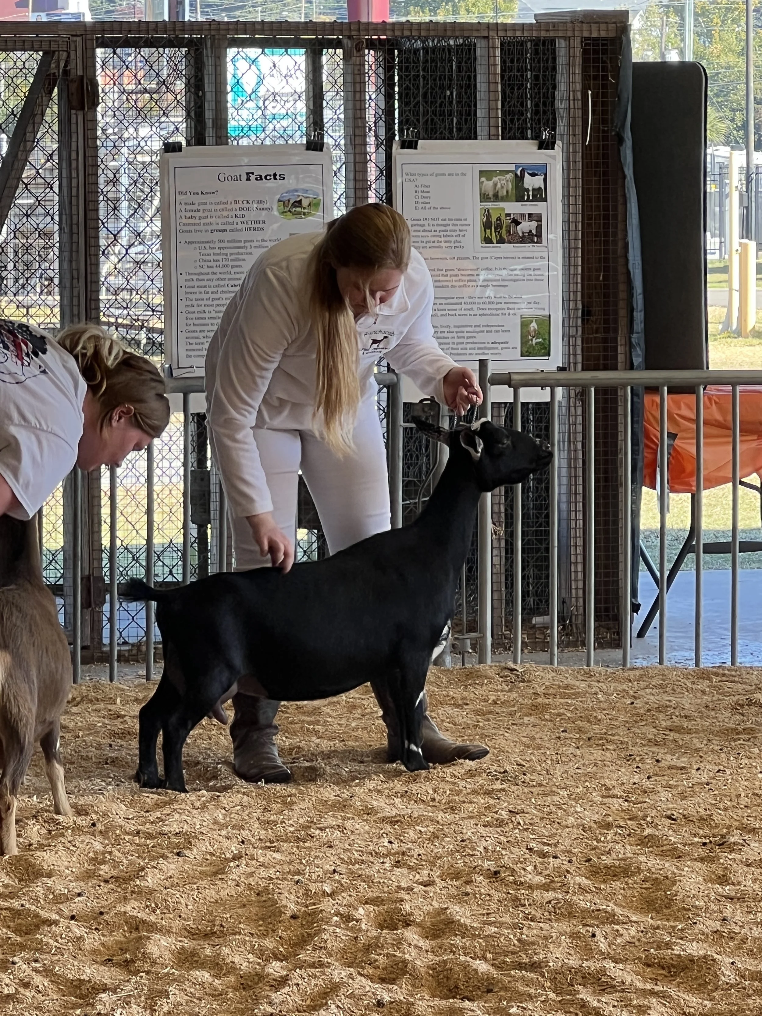 Chick 3 yrs 2 fresh.JPG