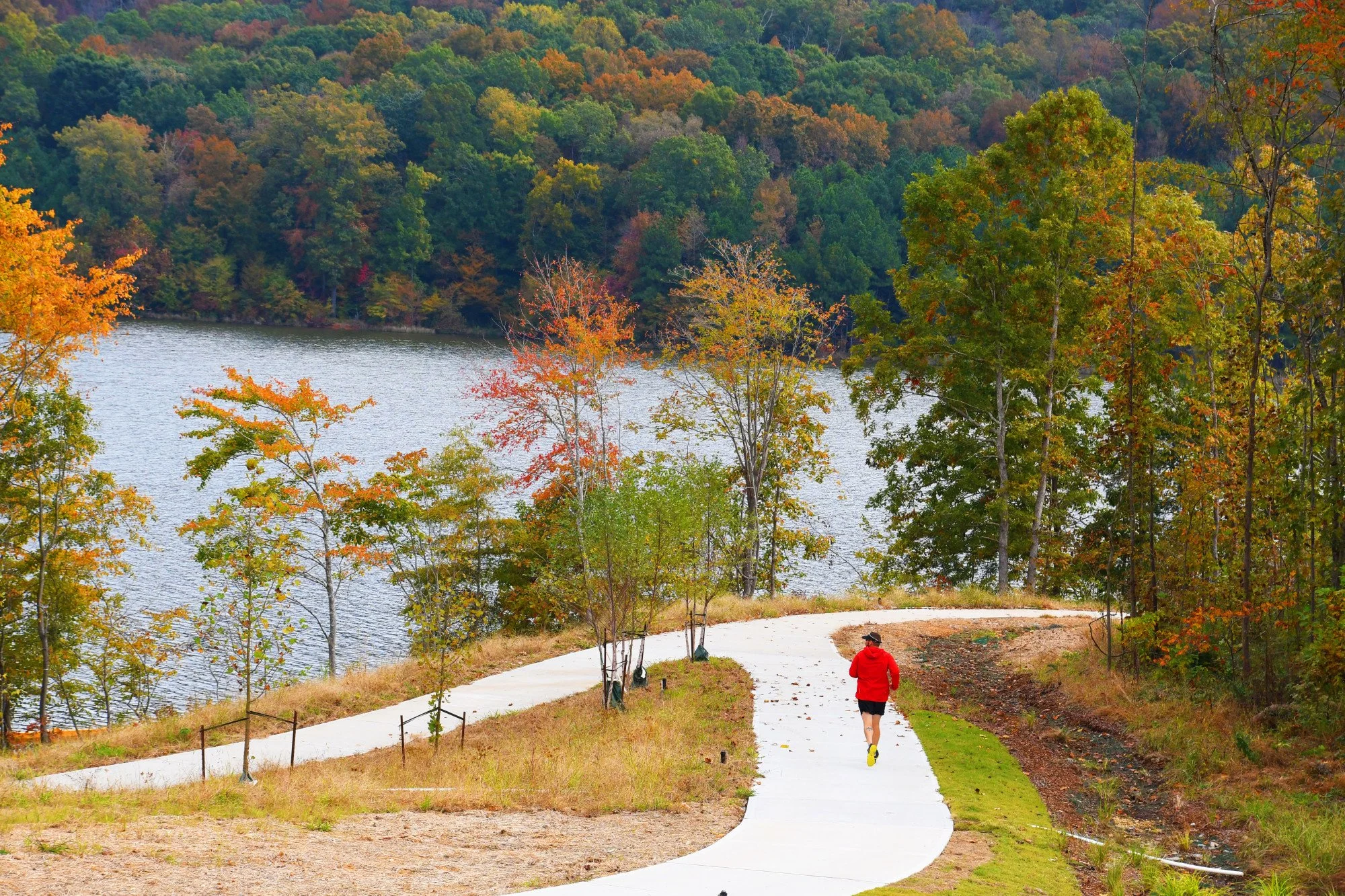 Emily Matthews Real Estate Group