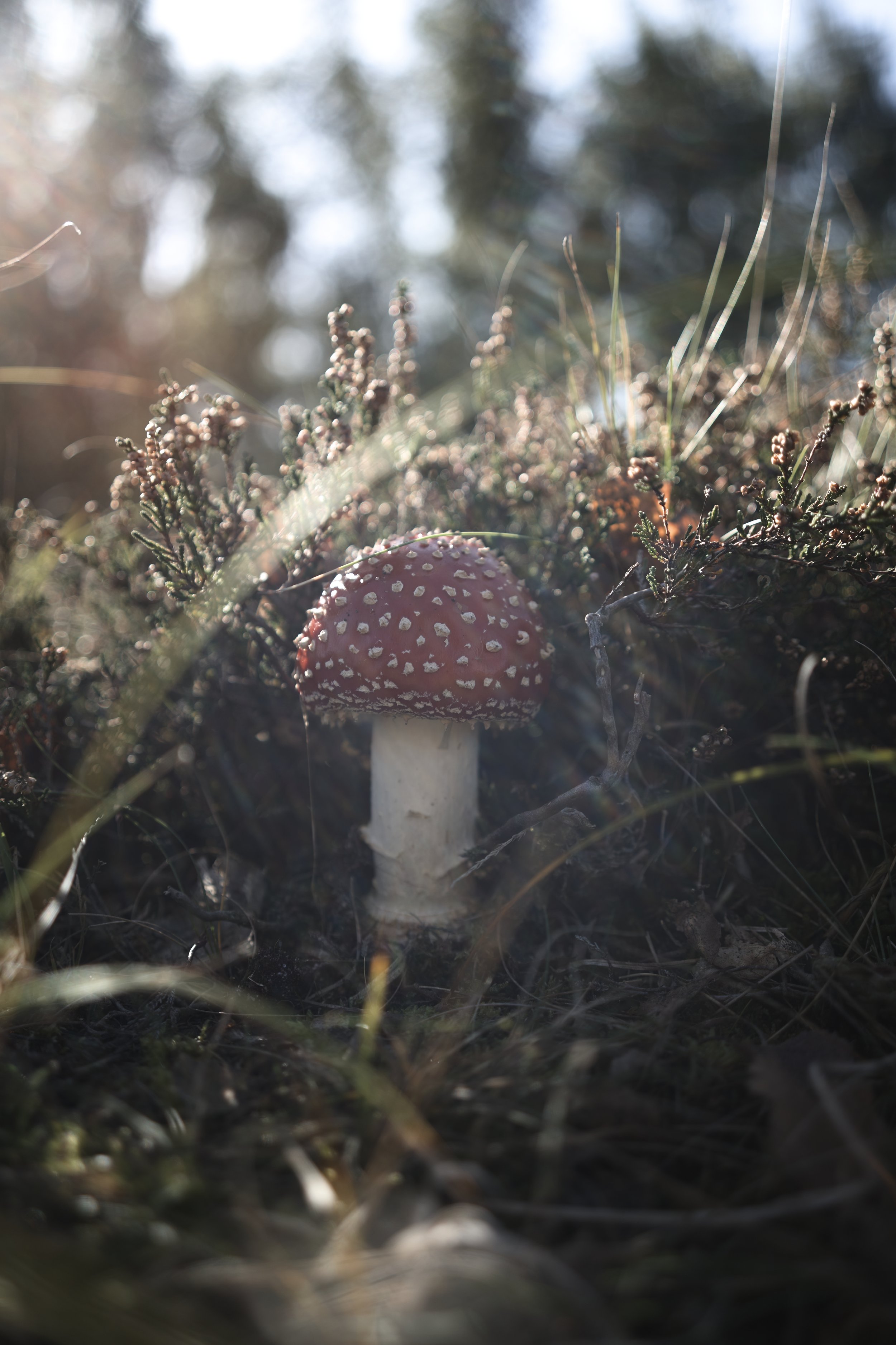 CK20231014_0270.jpg