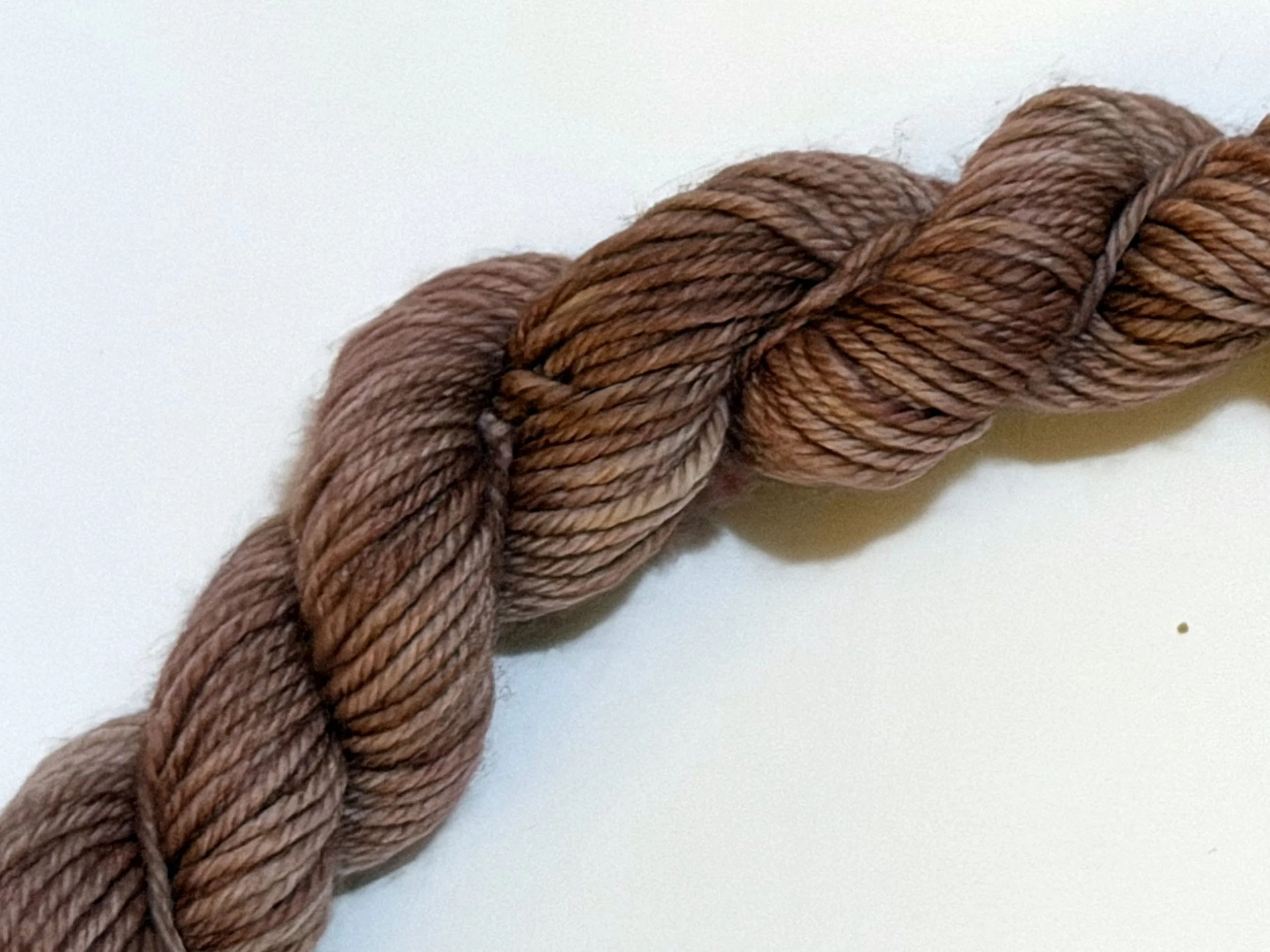 "Brand New Bark" - Hand Dyed Yarn