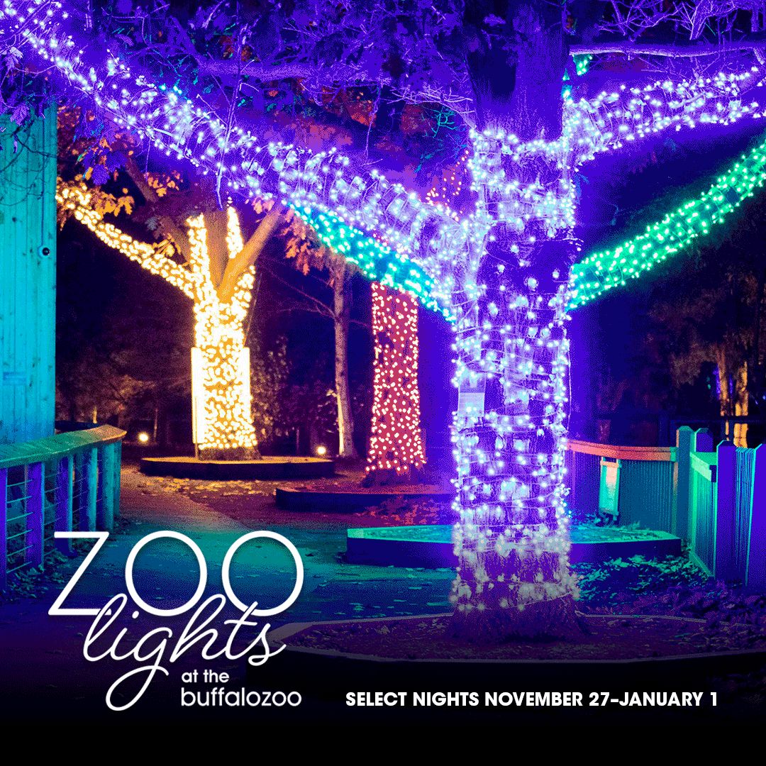 ZooLightsAd_1080x1080_2.gif