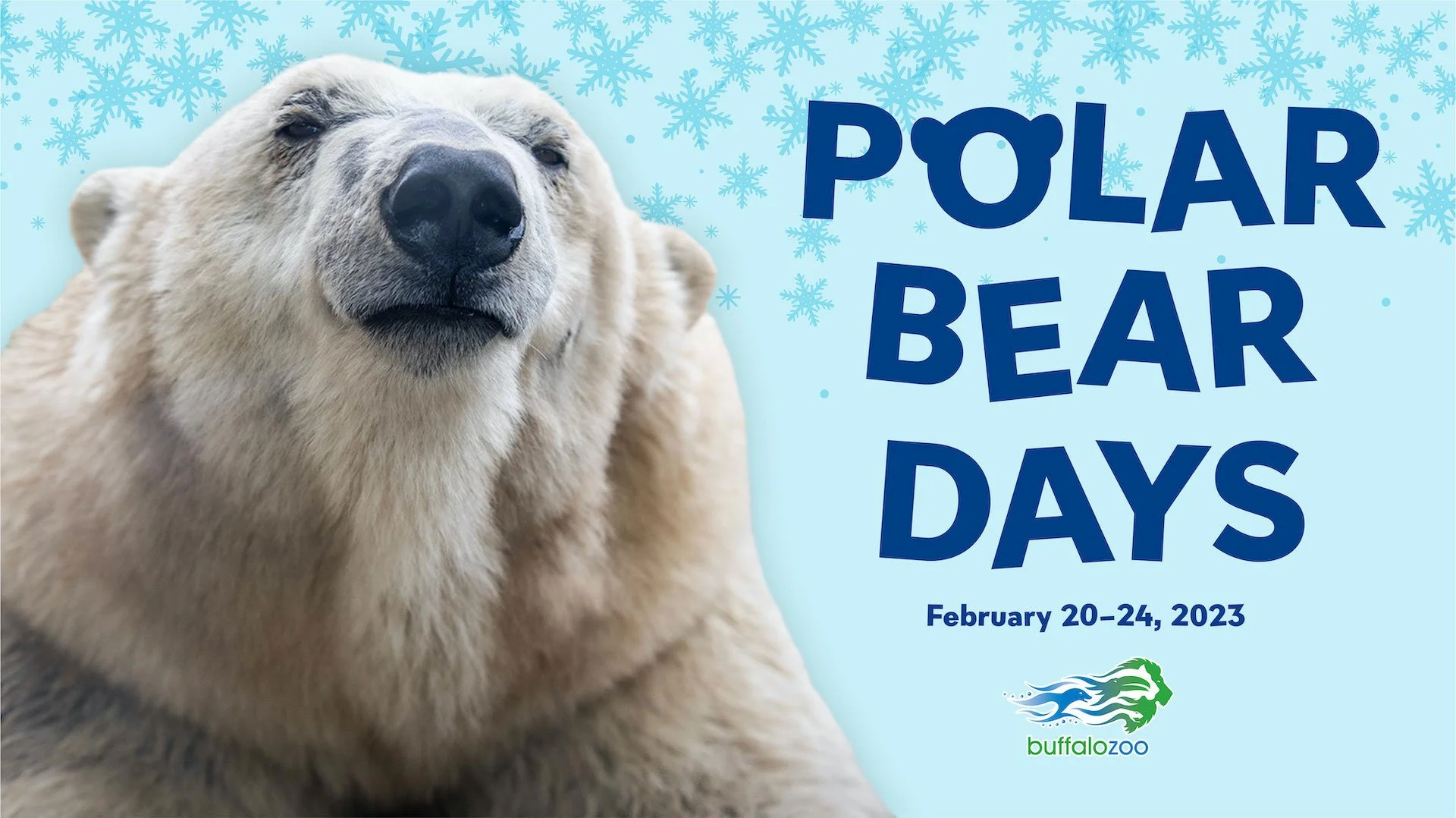 PolarBearDays_Photo_Ears.jpg