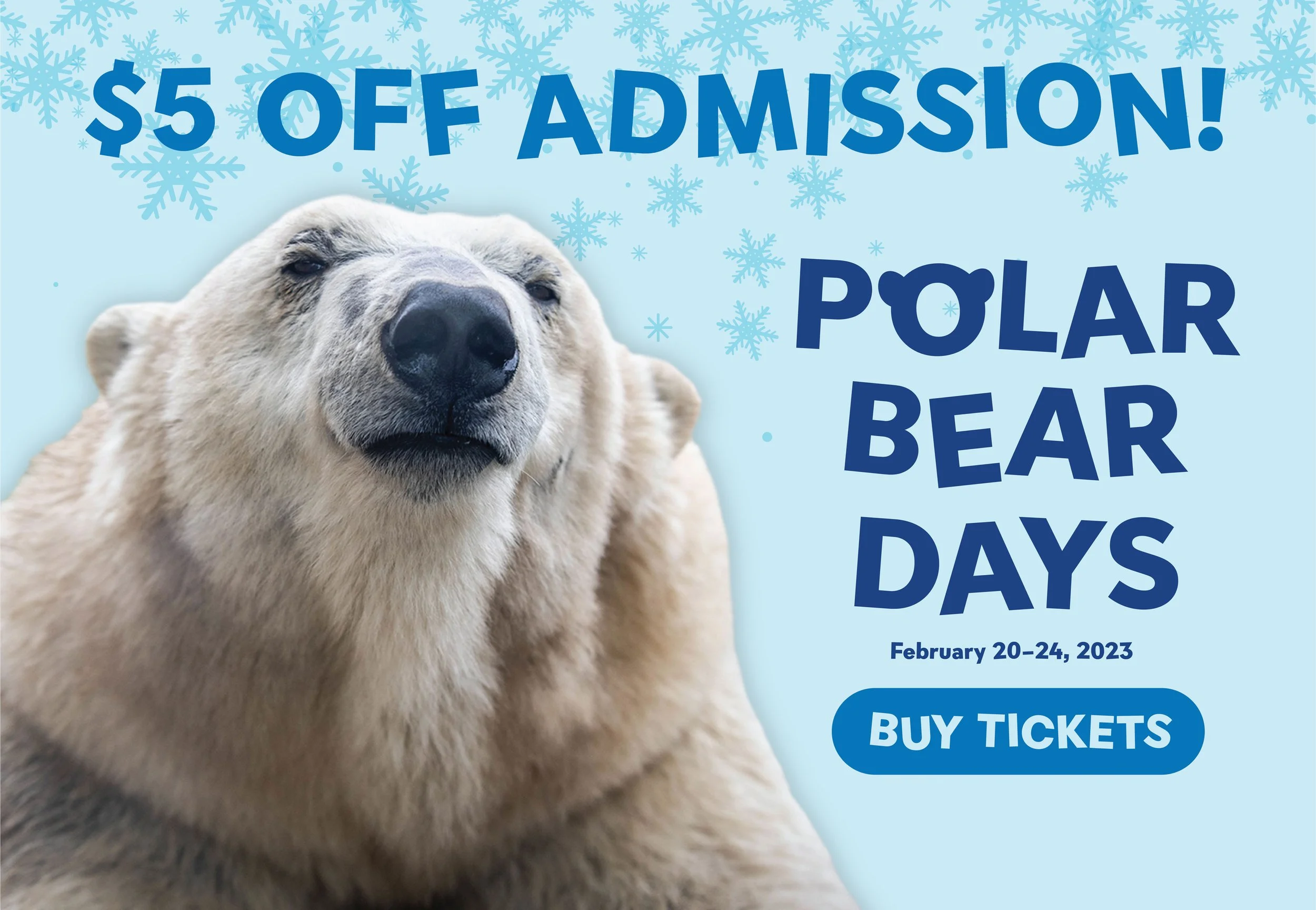 PolarBearDays_PopUp.jpg