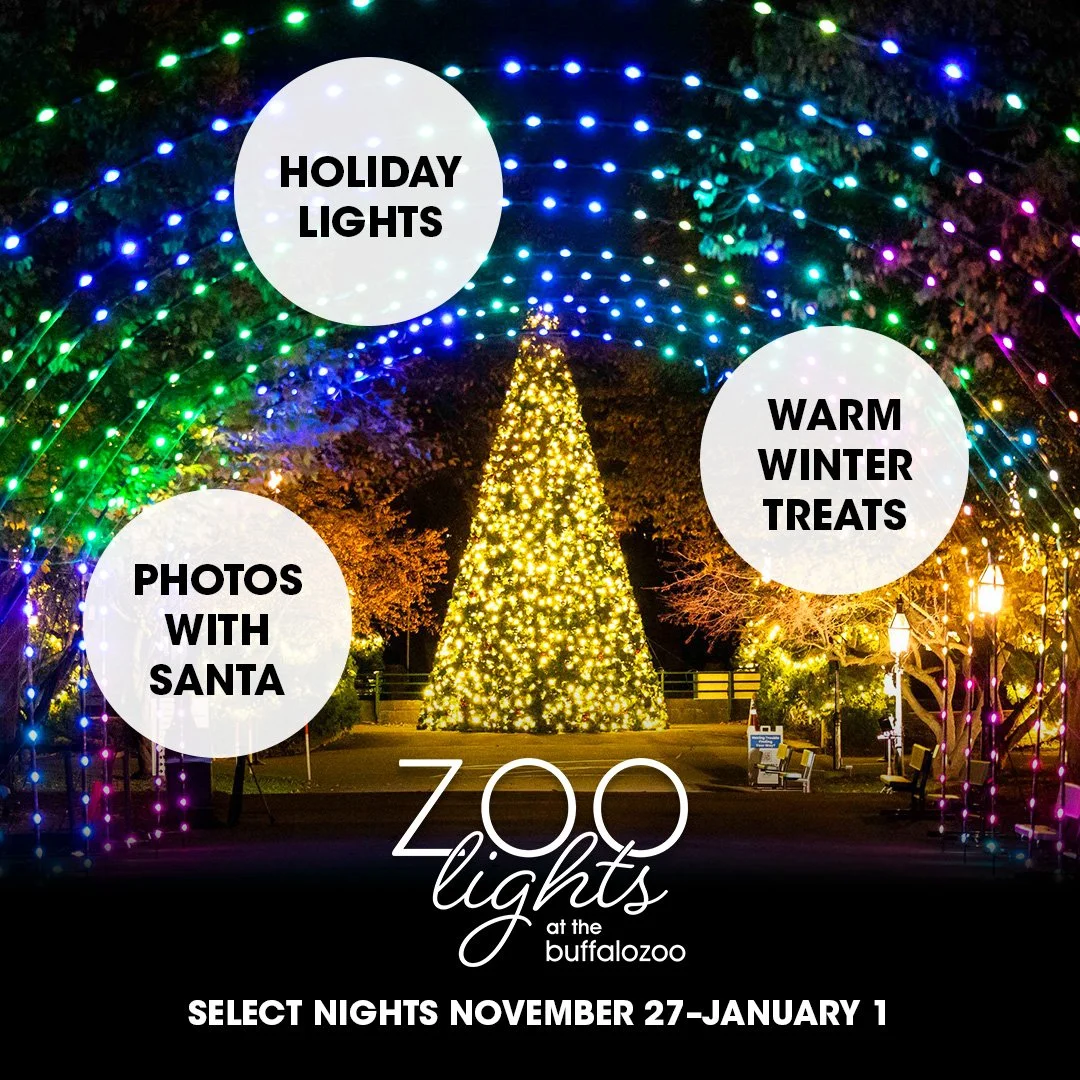 ZooLightsAd_1080x1080_3.jpg