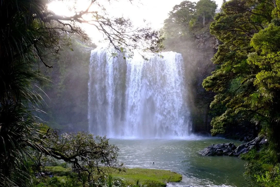 Whangarei Waterfall