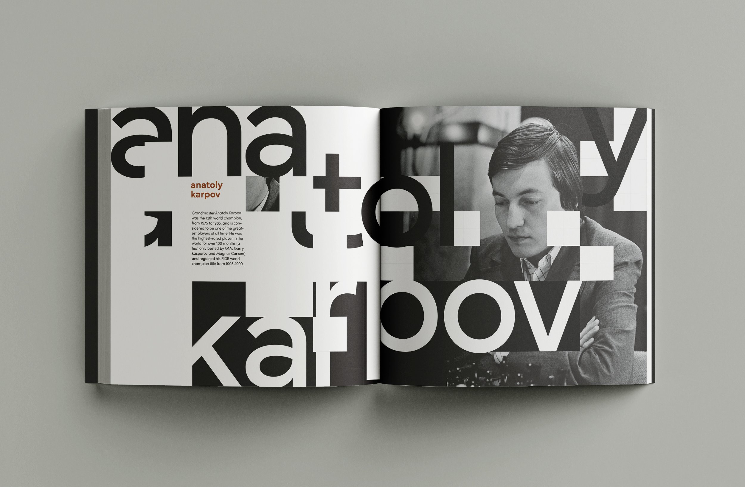 CapExhibit2-copy.jpg