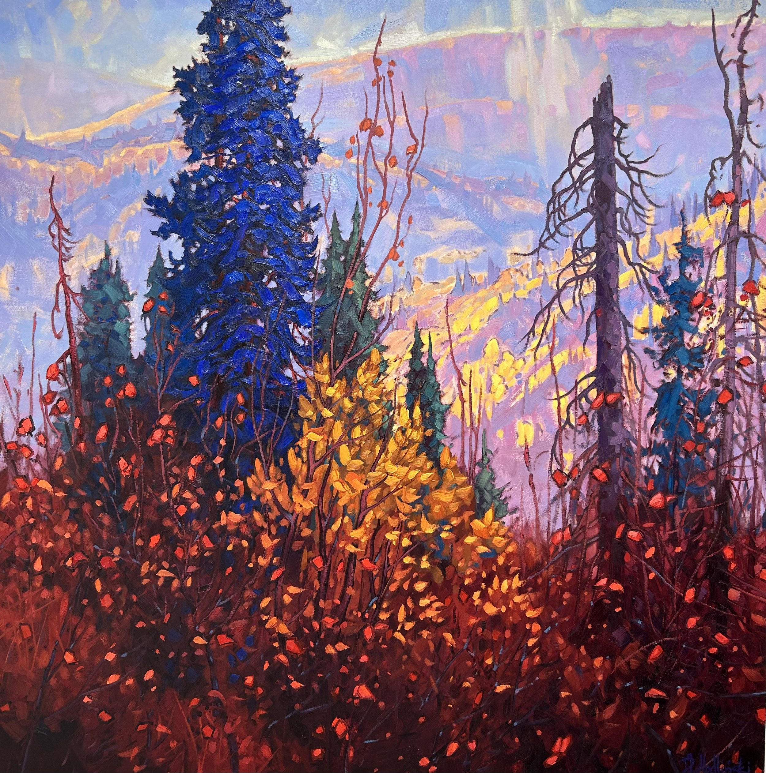 Dancing in the Wind 48 x 48 Dominik Modlinski.jpeg