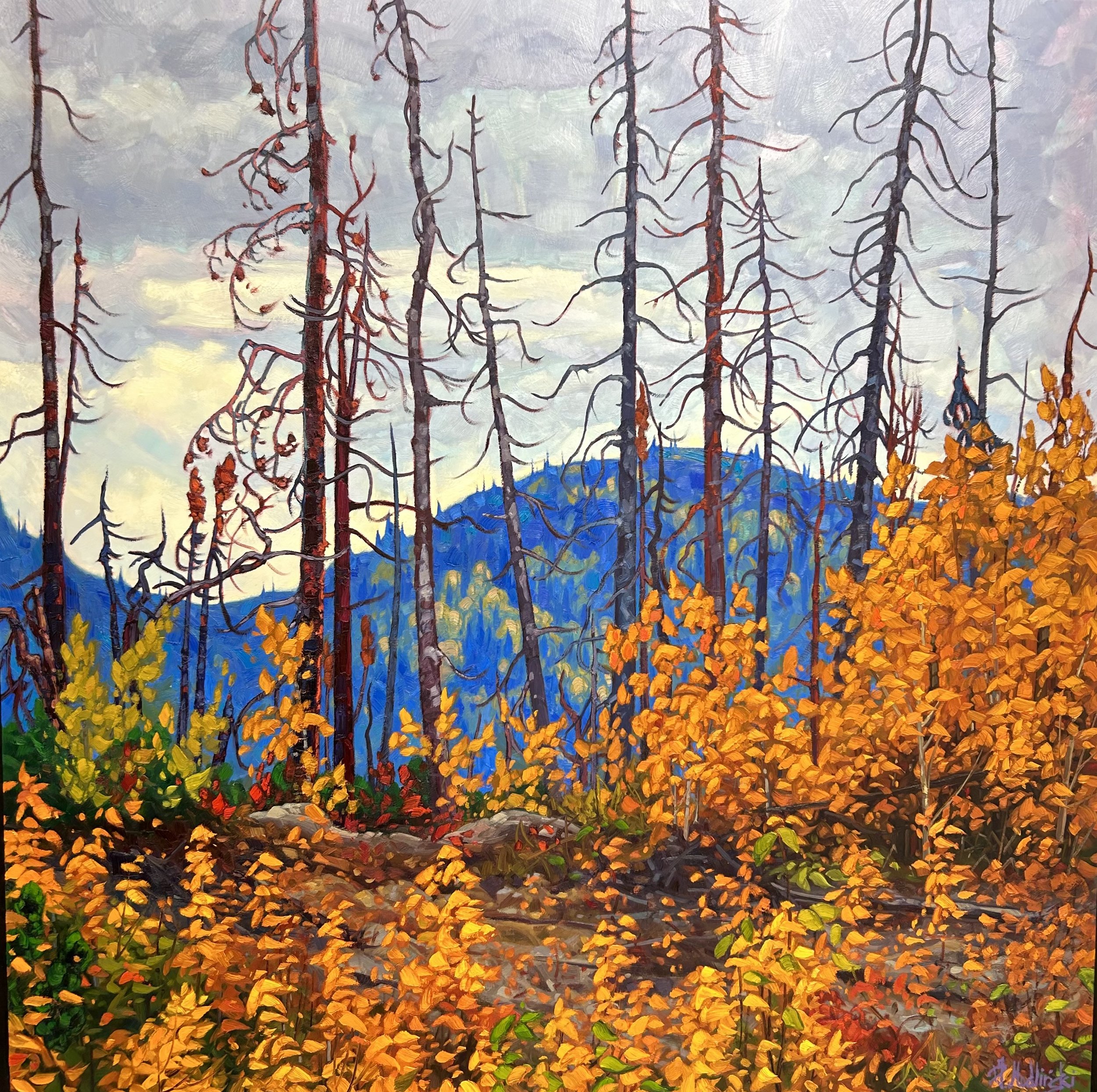 Rise of the Woodlands 48 x 48 Dominik Modlinski.jpeg