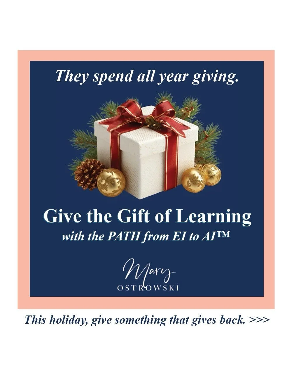 Teachers don&rsquo;t need another mug. Or a candle. Or a monogrammed tote.

They need time. A little less weight on their shoulders.
This season, Mary Ostrowski, educator, school leader, and AI consultant, is offering something different&mdash;a gift