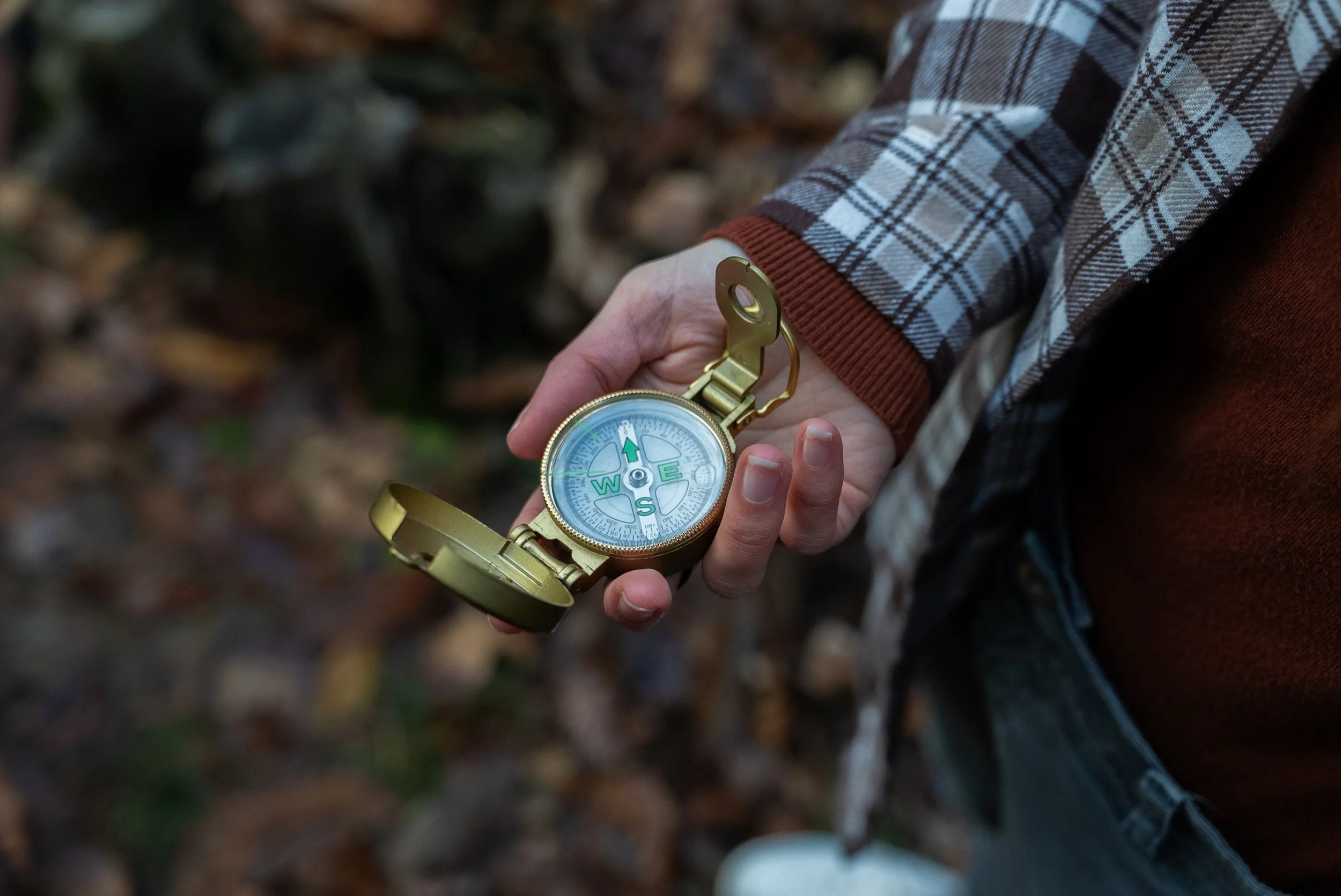 bussola, orientamento, coaching, progetto di vita, sviluppo personale, creatività