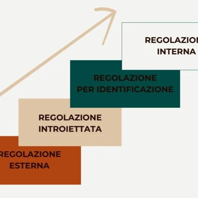 self-determination theory