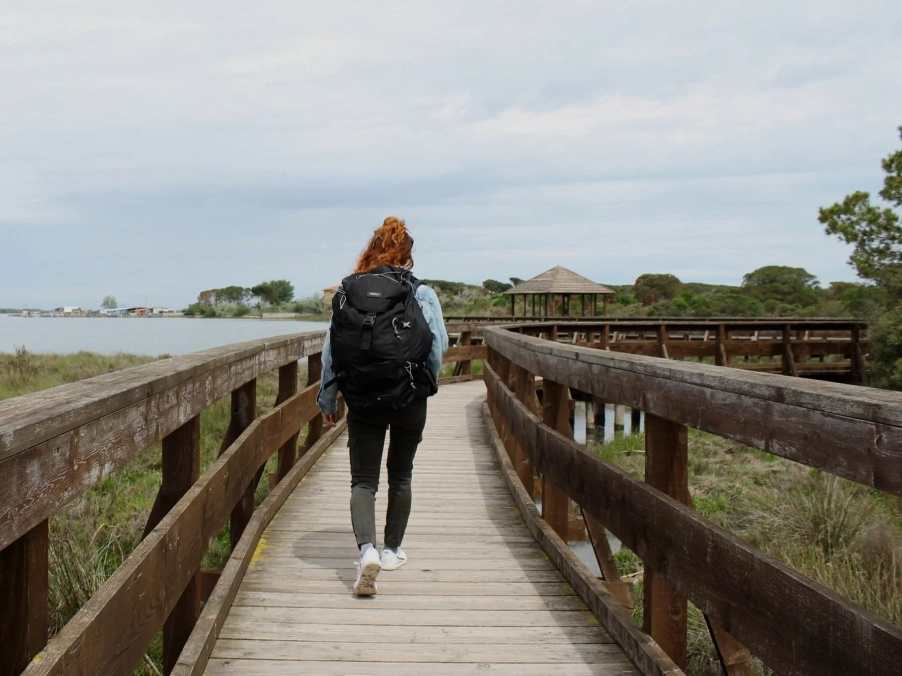 percorso, crescita, camminare