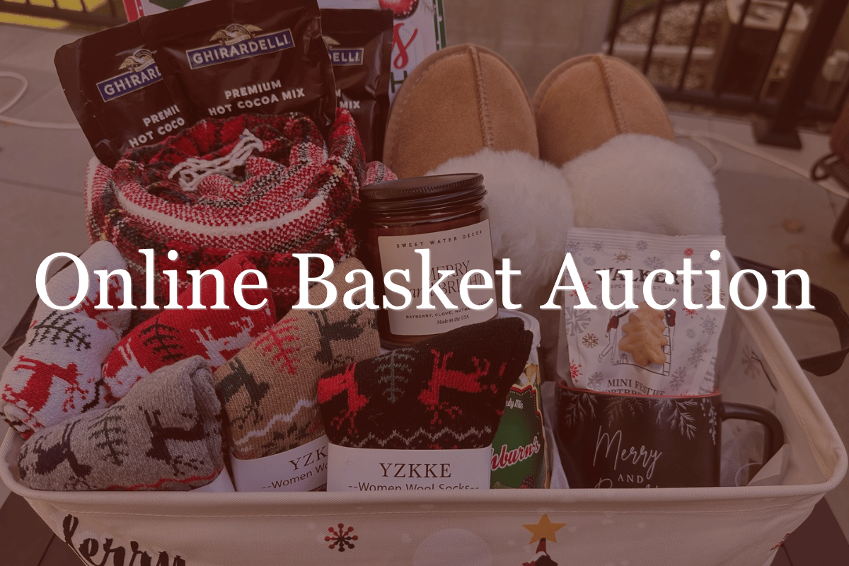 Online Basket Auction