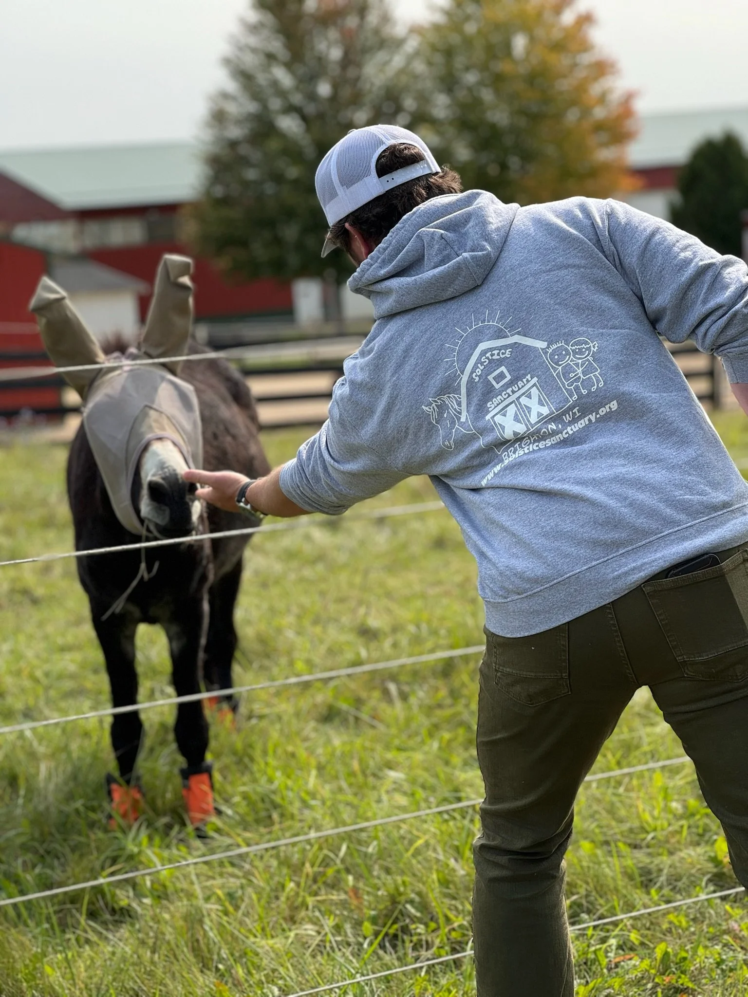 A man wearing a gray hoodie with a barn and farm animals graphic is reaching through a fence to pet a donkey wearing a gas mask.