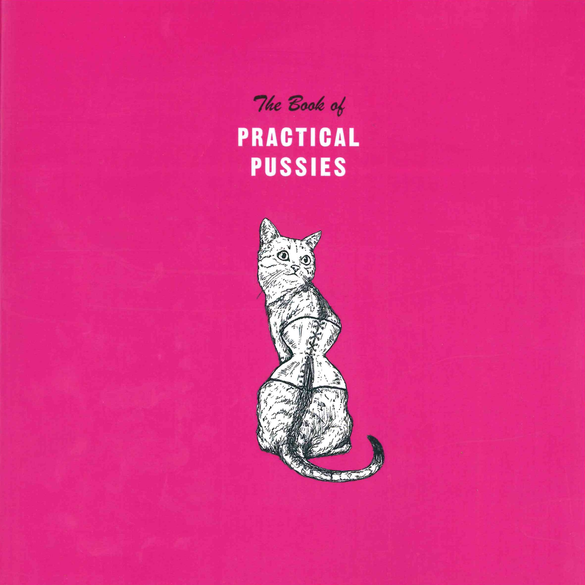 the book of practical pussies.jpg