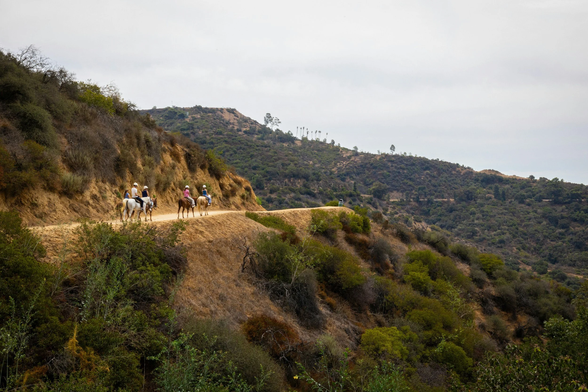 Horseback Riding as Teambuilding Activity for Corporate Teams
