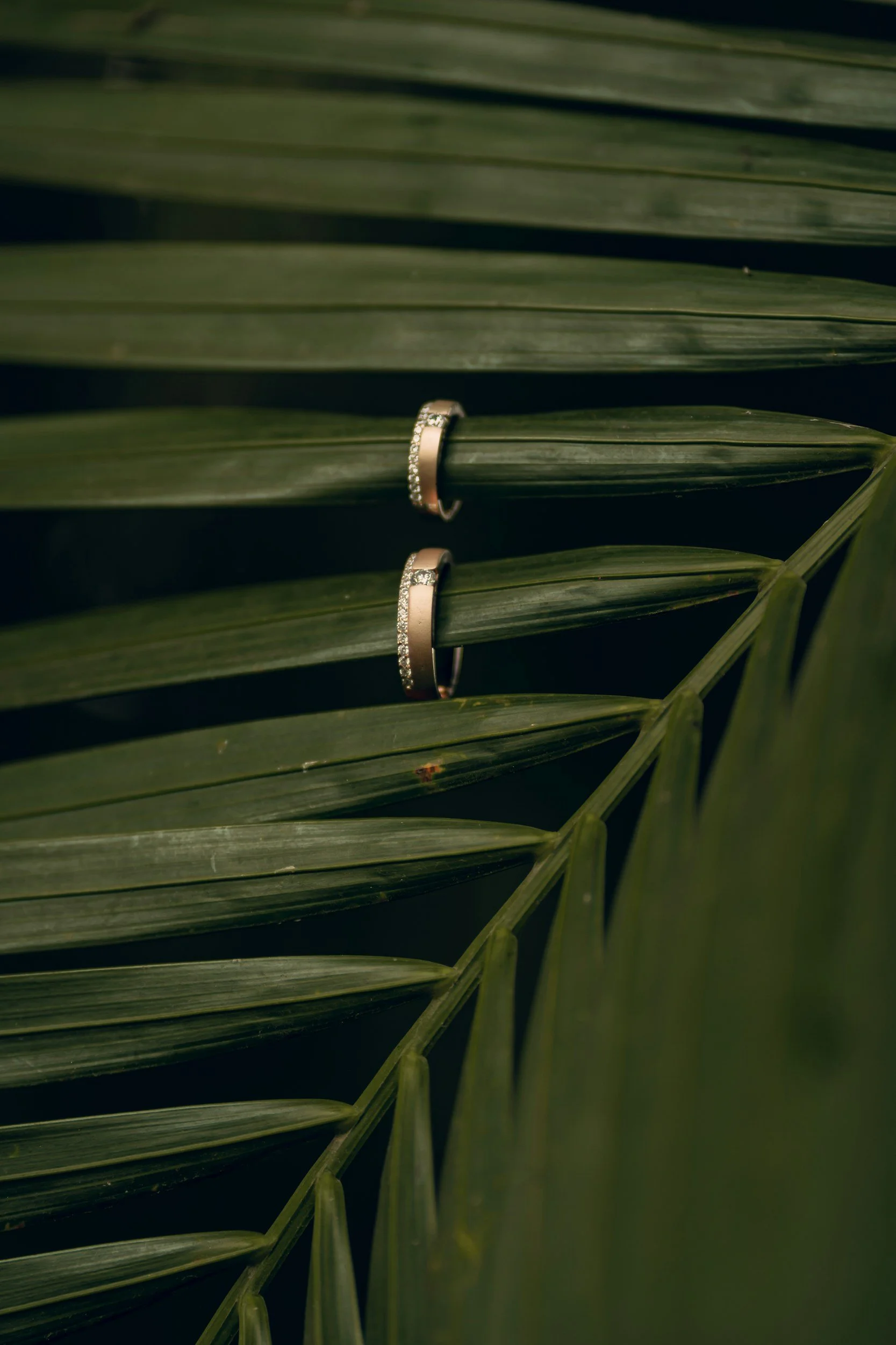wedding bands