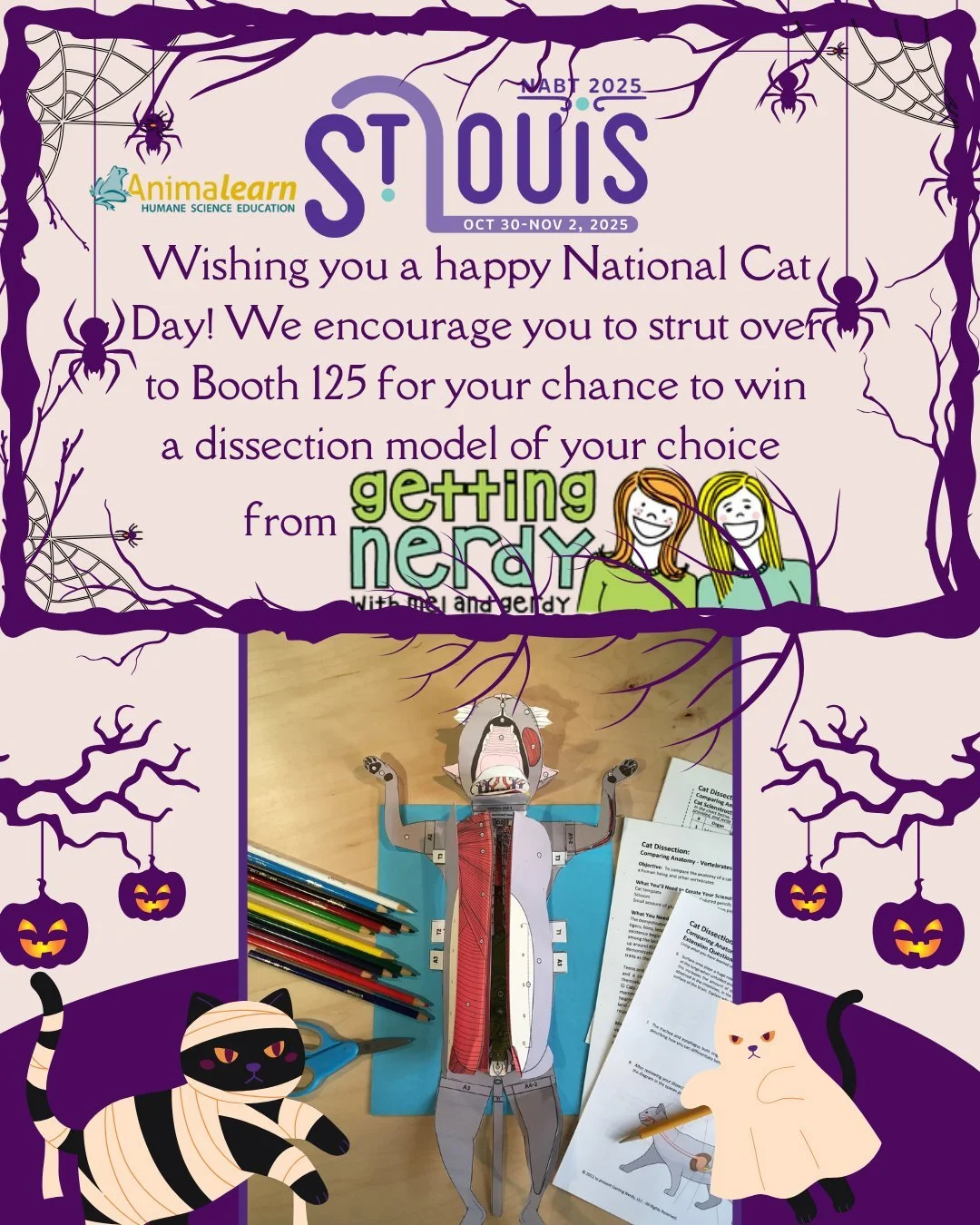 🐈 Happy #NationalCatDay! 🐈&zwj;⬛ When you're at the @nabt_offical Conference in #StLouis, strut over to Booth 125 and check out our purr-fect alternatives and you can enter to win a model of your choice from our partner, @gettingnerdy! 

#NABT2025 