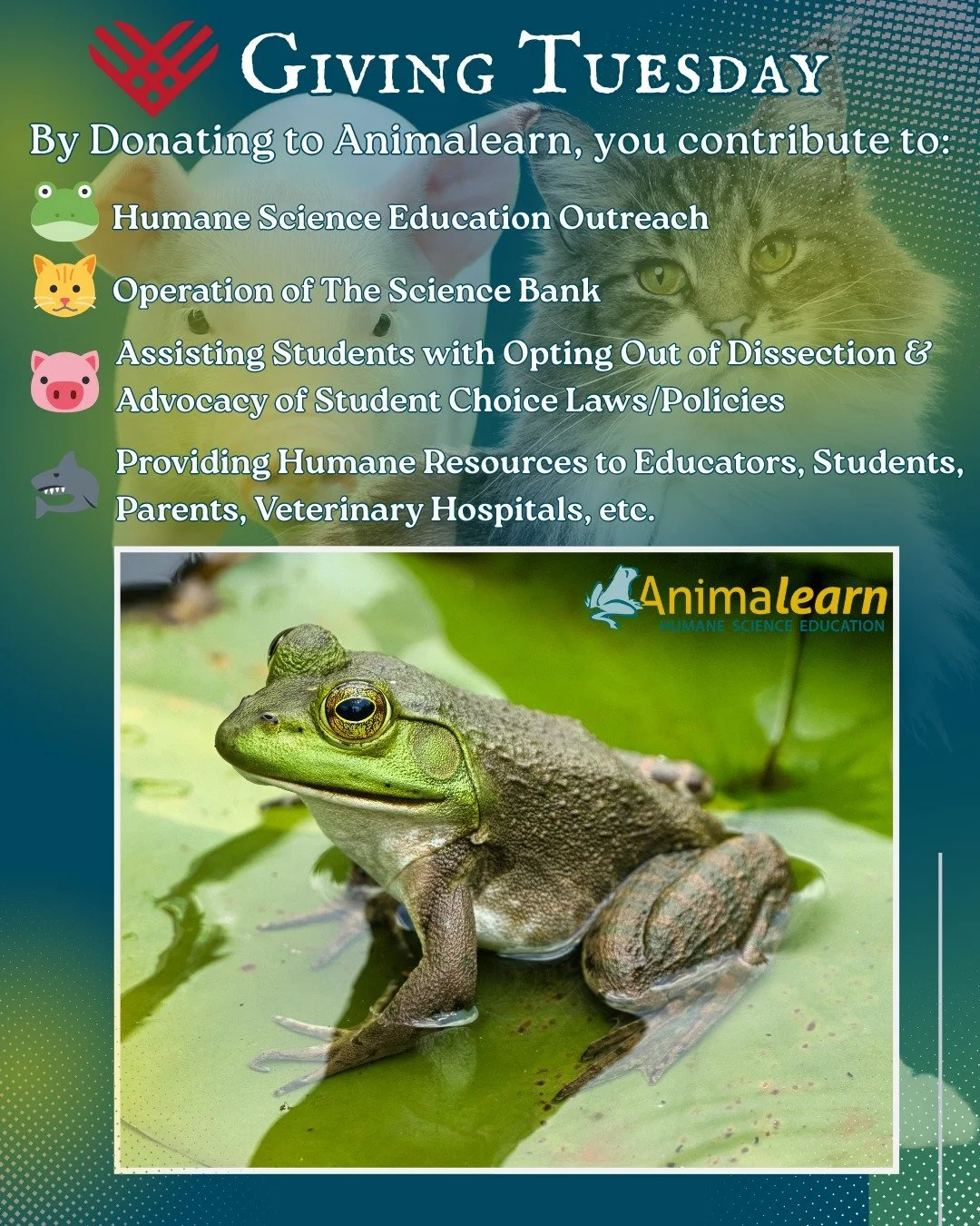 Thank you so much for all of your support of #humane #science #education throughout the year. Please consider donating to #Animalearn to help us continue the mission of #animal-free science education. 🐸😺🐷 Please visit: https://support.aavs.org/pag