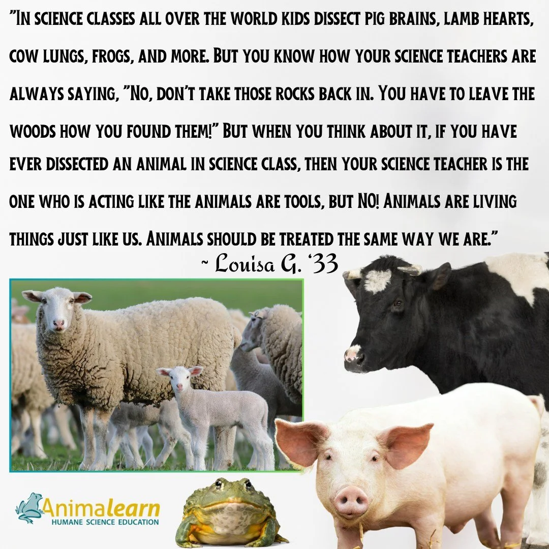 Our #humane #science ally, Louisa G., wrote an article for the @schcampuslantern  about the harm that #animal #dissection causes in science #education. Thank you so much Louisa for reminding people that animals should be treated the same way as us!💚