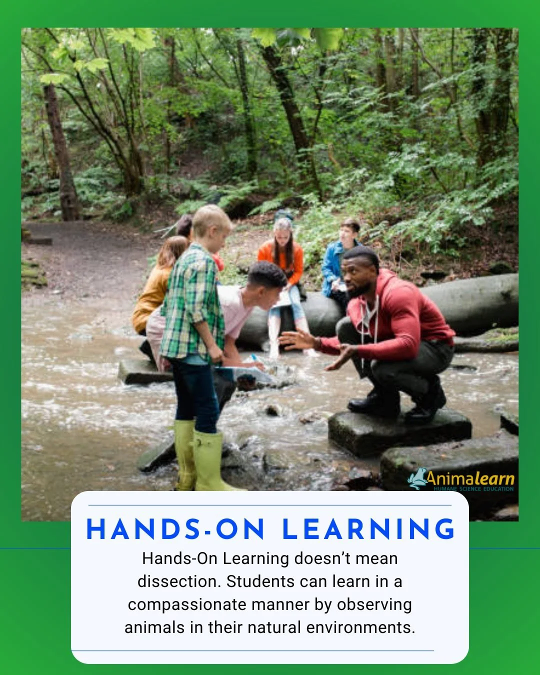 By having #students learn about #animals in their natural environments, you're encouraging more #humane and #compassionate #education. 

#humanescience #humaneeducation #teachers #scienceeducation #dissectiondoesntcutit #putthelifebackinlifescience #